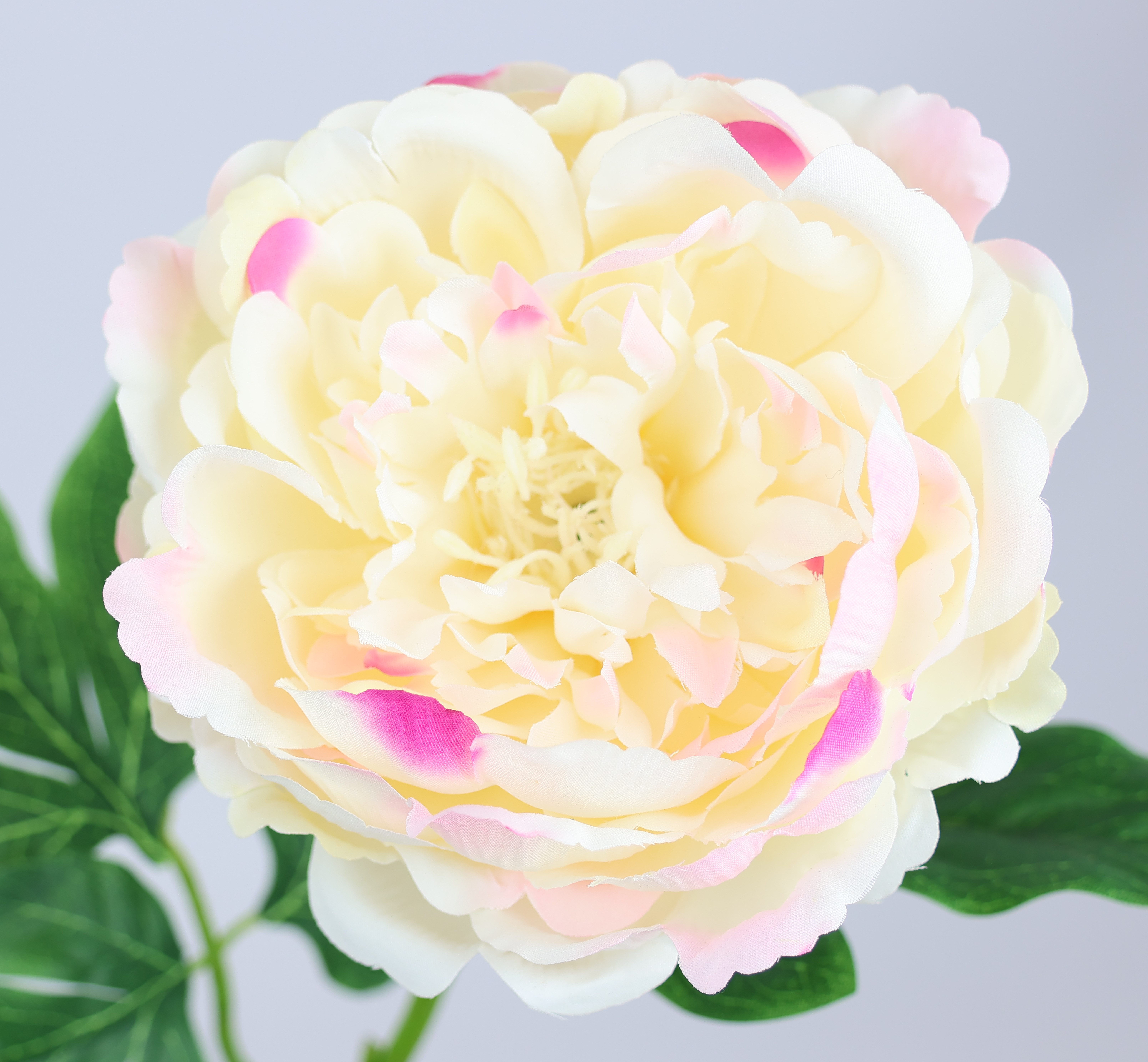 I.GE.A. Kunstbloem Pioenroos Pioenrozen enkele bloem, set van 3 (3 stuks)