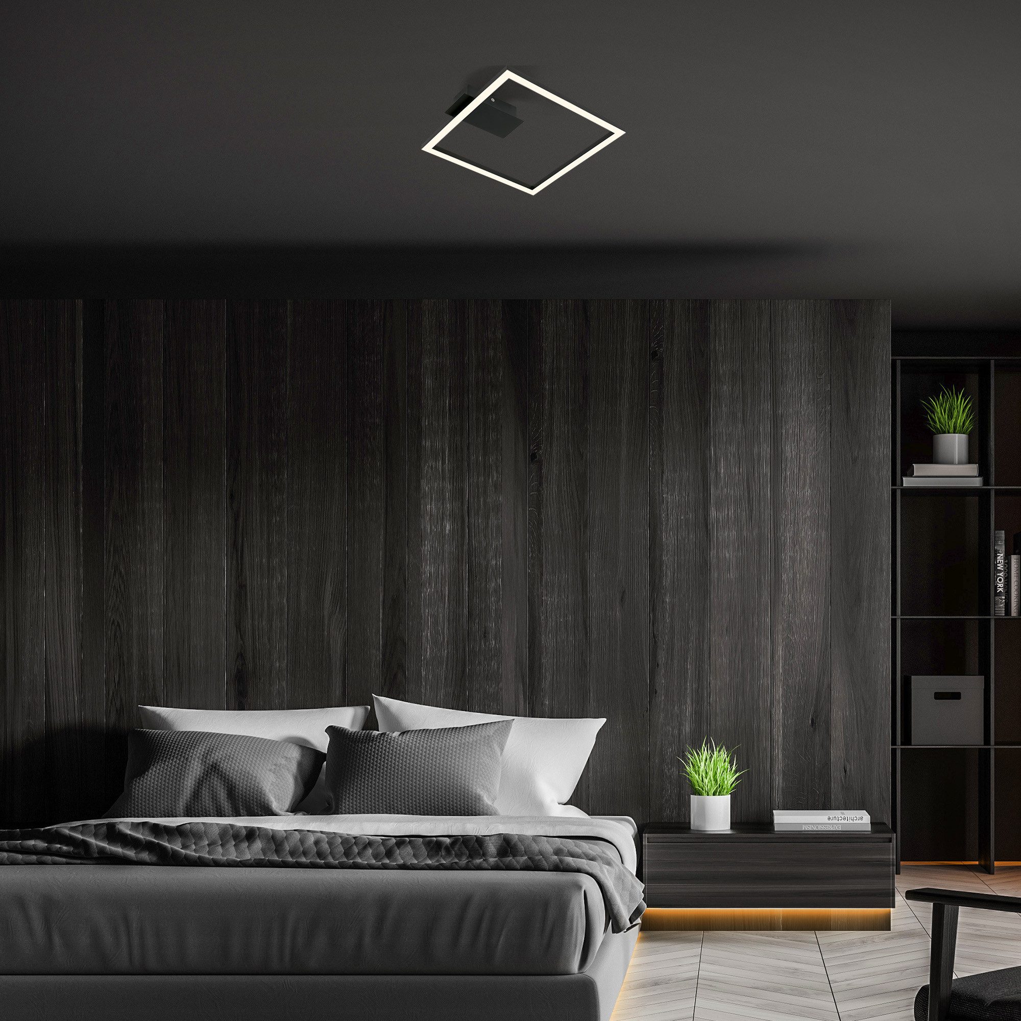 Briloner Leuchten Plafondlamp Frame NICI