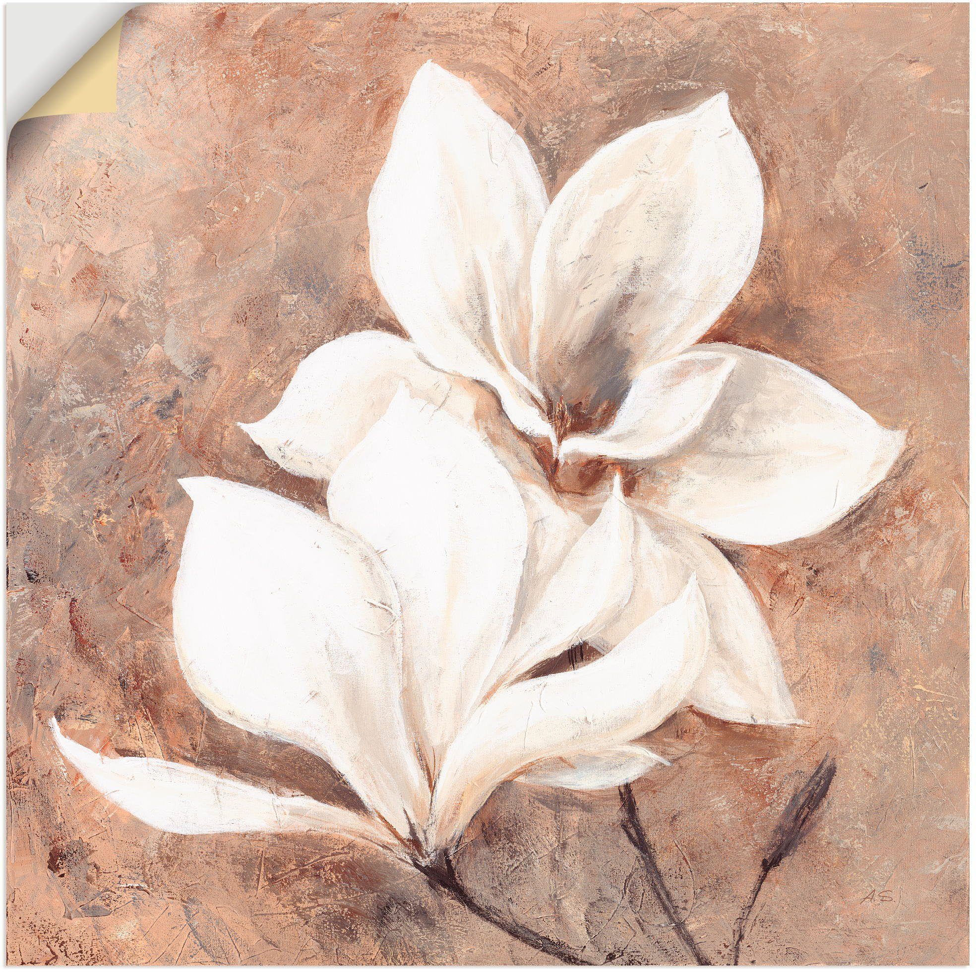 Artland Artprint Klassieke magnolia's in vele afmetingen & productsoorten - artprint van aluminium / artprint voor buiten, artprint op linnen, poster, muursticker / wandfolie ook g