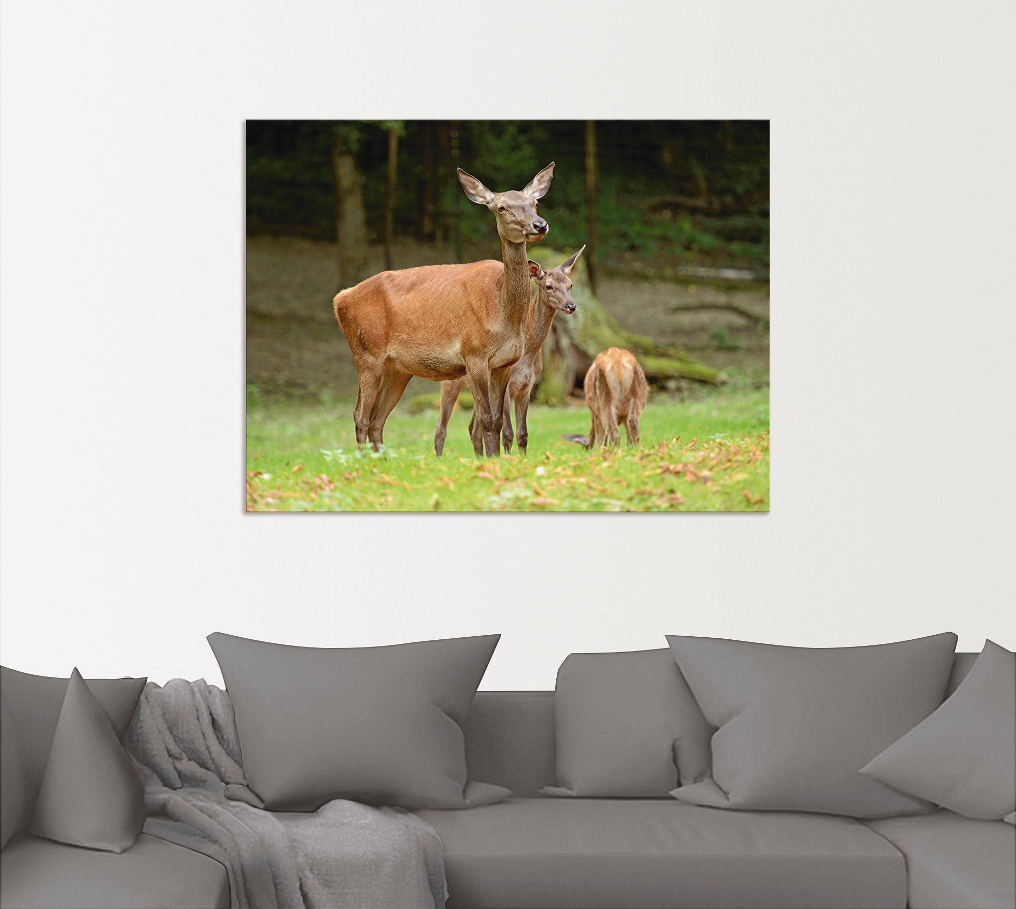 Artland Artprint Reeën als artprint van aluminium, artprint op linnen, muursticker of poster in verschillende maten