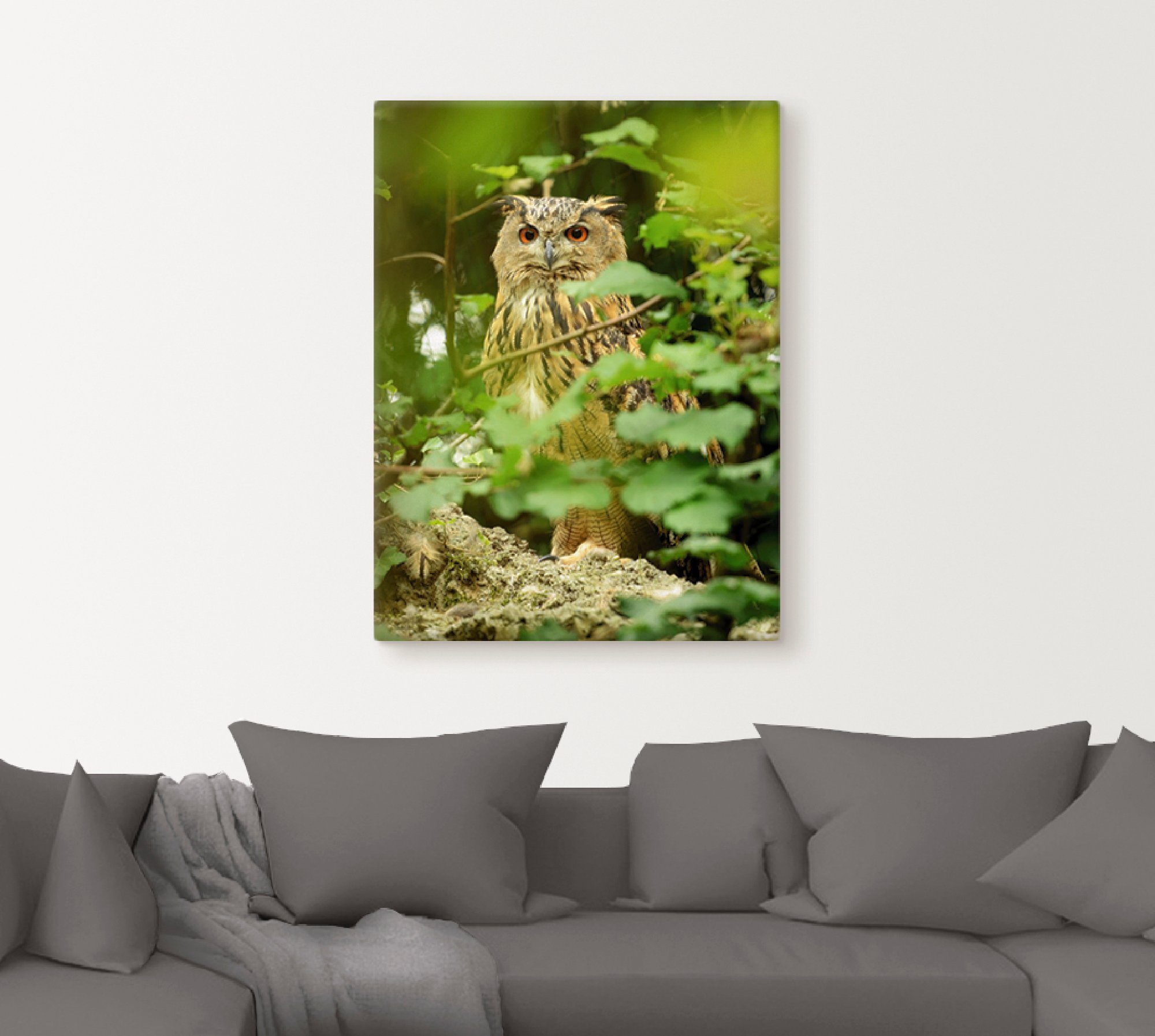 Artland Artprint Vogel oehoe als artprint op linnen, poster in verschillende formaten maten