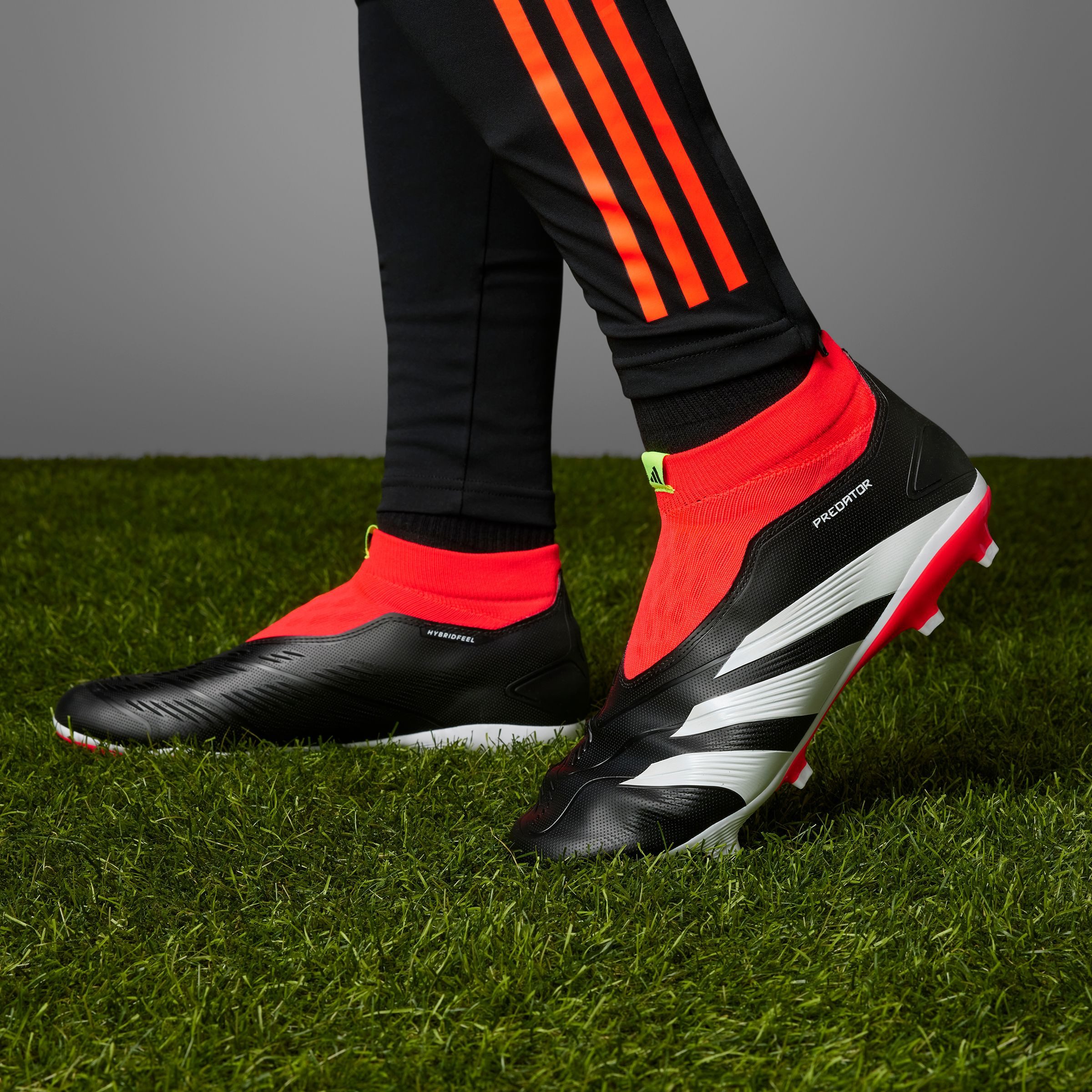 adidas Performance Voetbalschoenen PREDATOR LEAGUE LACELESS FG