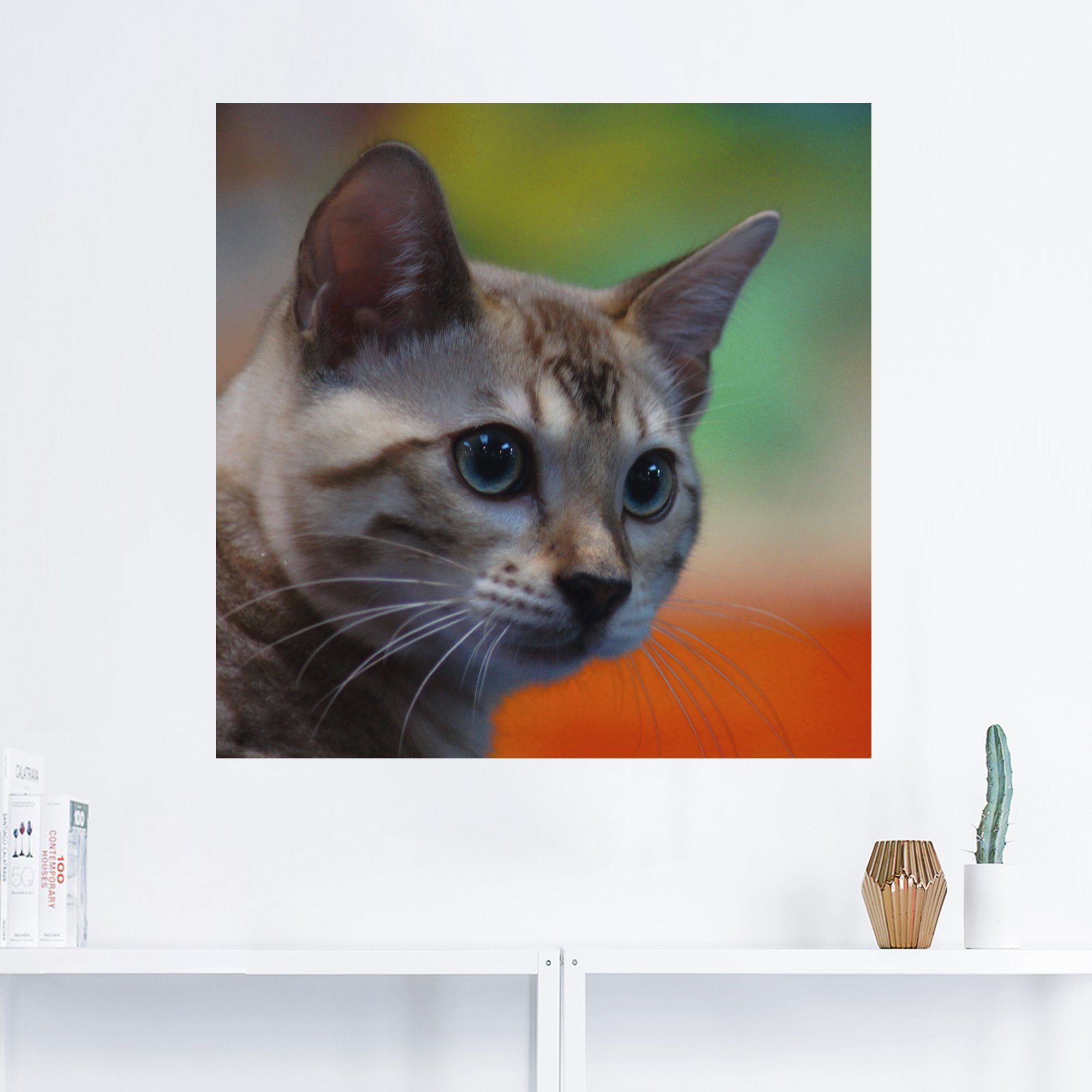 Artland Artprint Witte Bengaalse kat als artprint van aluminium, artprint op linnen, muursticker of poster in verschillende maten