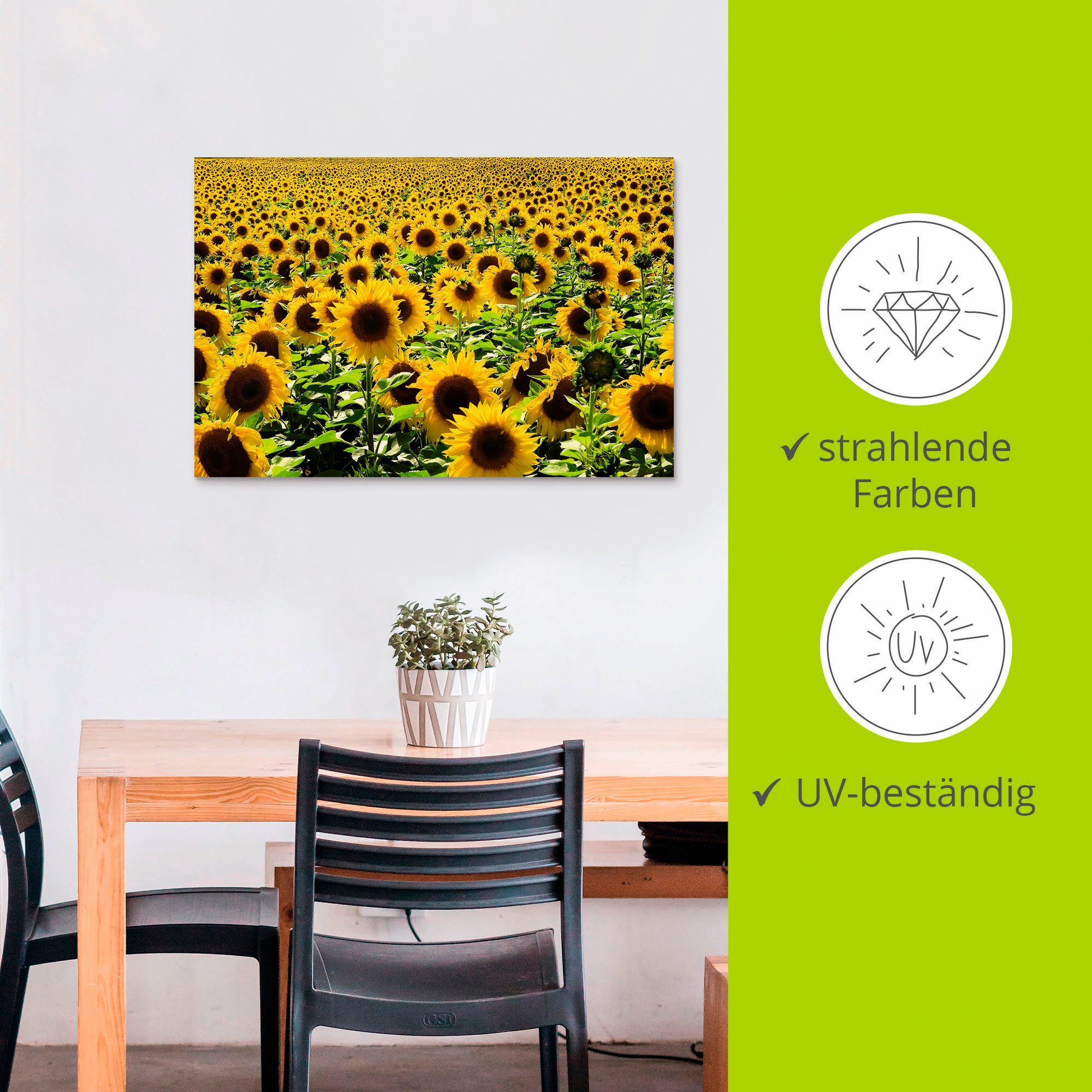 Artland Artprint Zonnebloemveld als artprint van aluminium, artprint voor buiten, artprint op linnen, poster in verschillende maten. maten