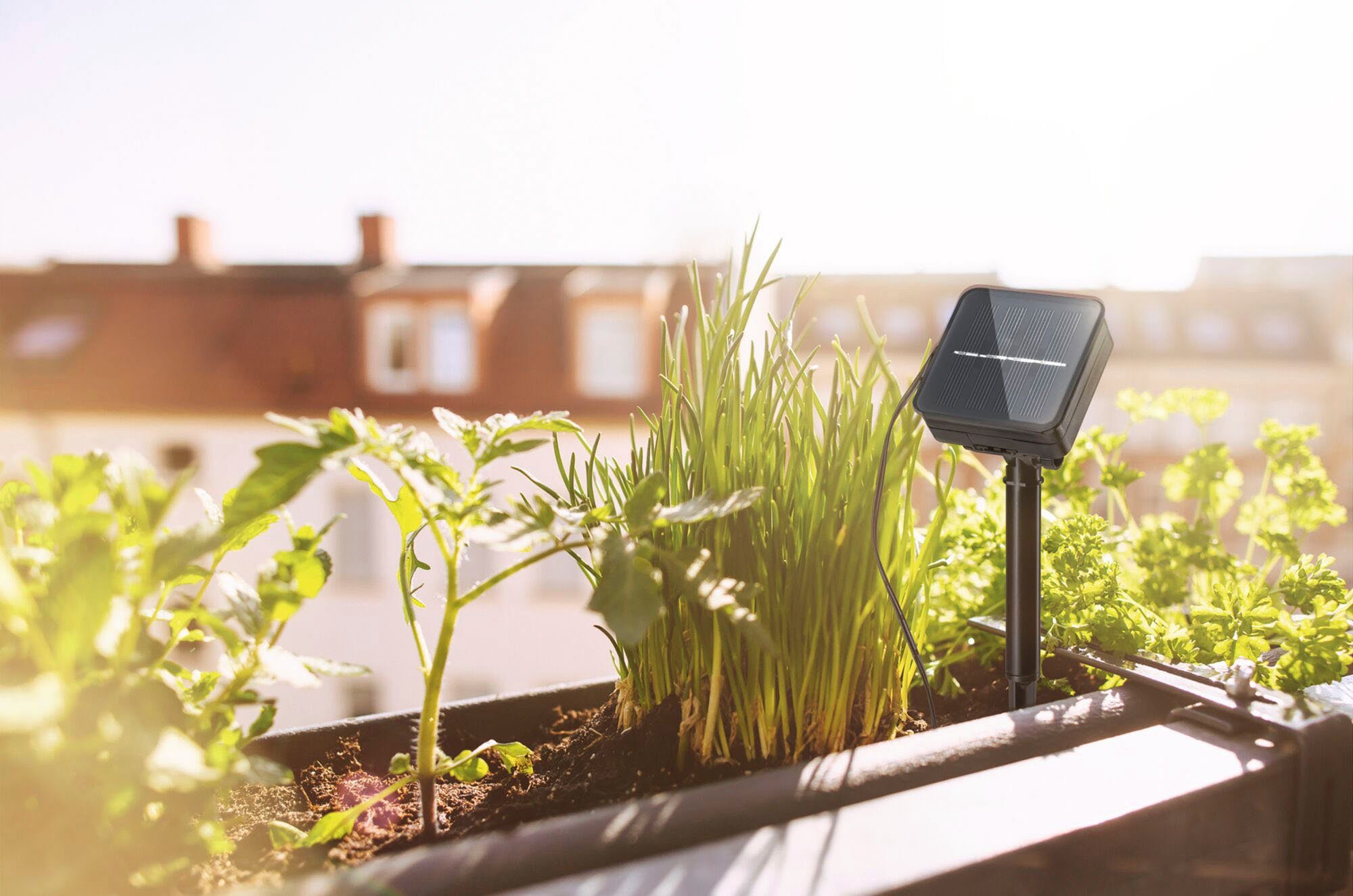 Paulmann Led-strepen Solar met Dämmerungssensor IP44 3m 2700K 0,3W Zwart (1 stuk)