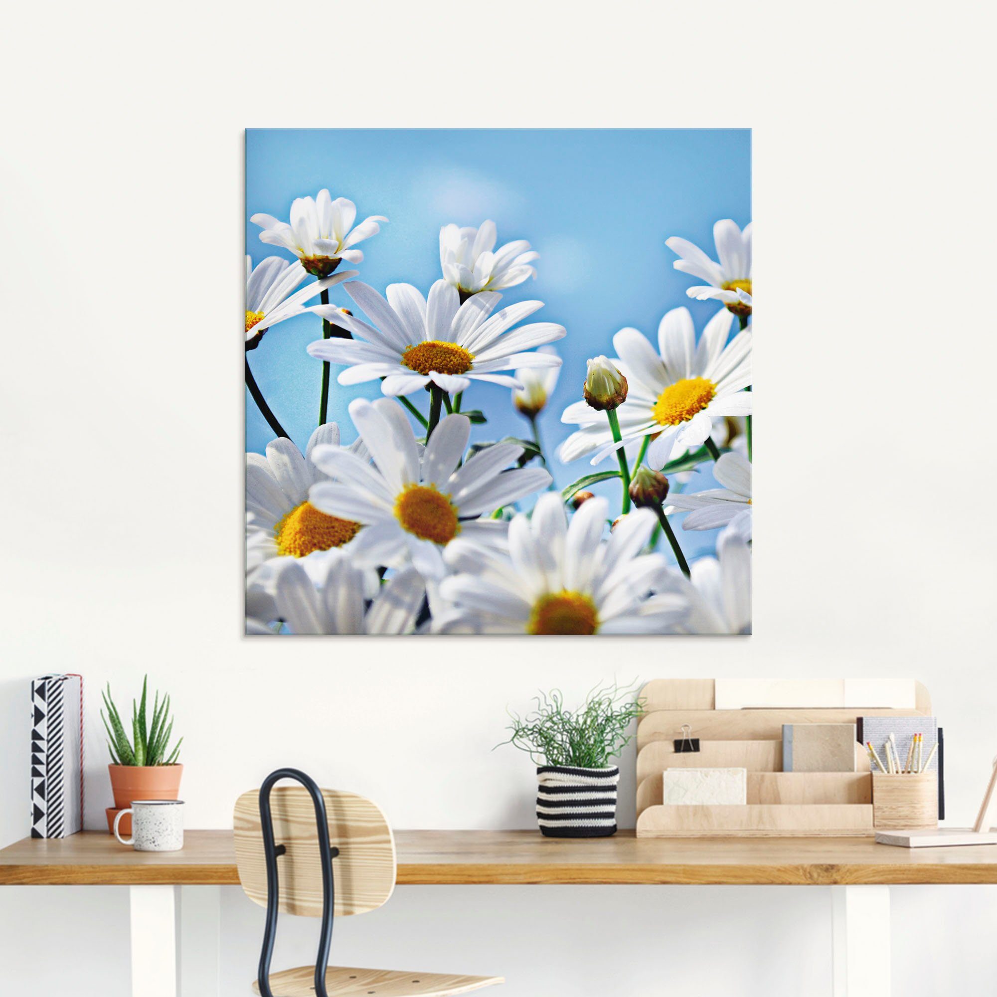 Artland Print op glas Bloemen - margrieten in verschillende maten
