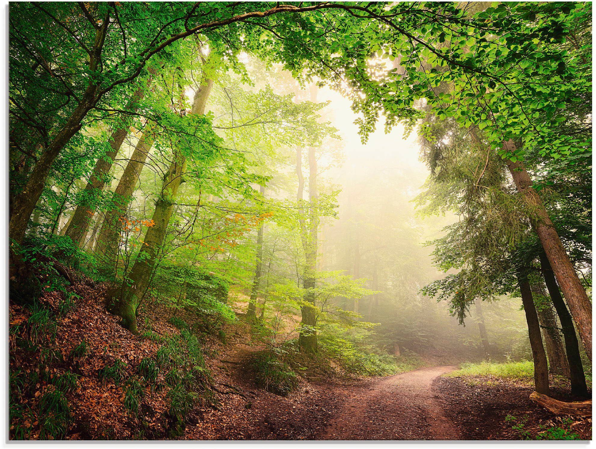 Artland Print op glas Natuurlijke bogen door bomen (1 stuk)