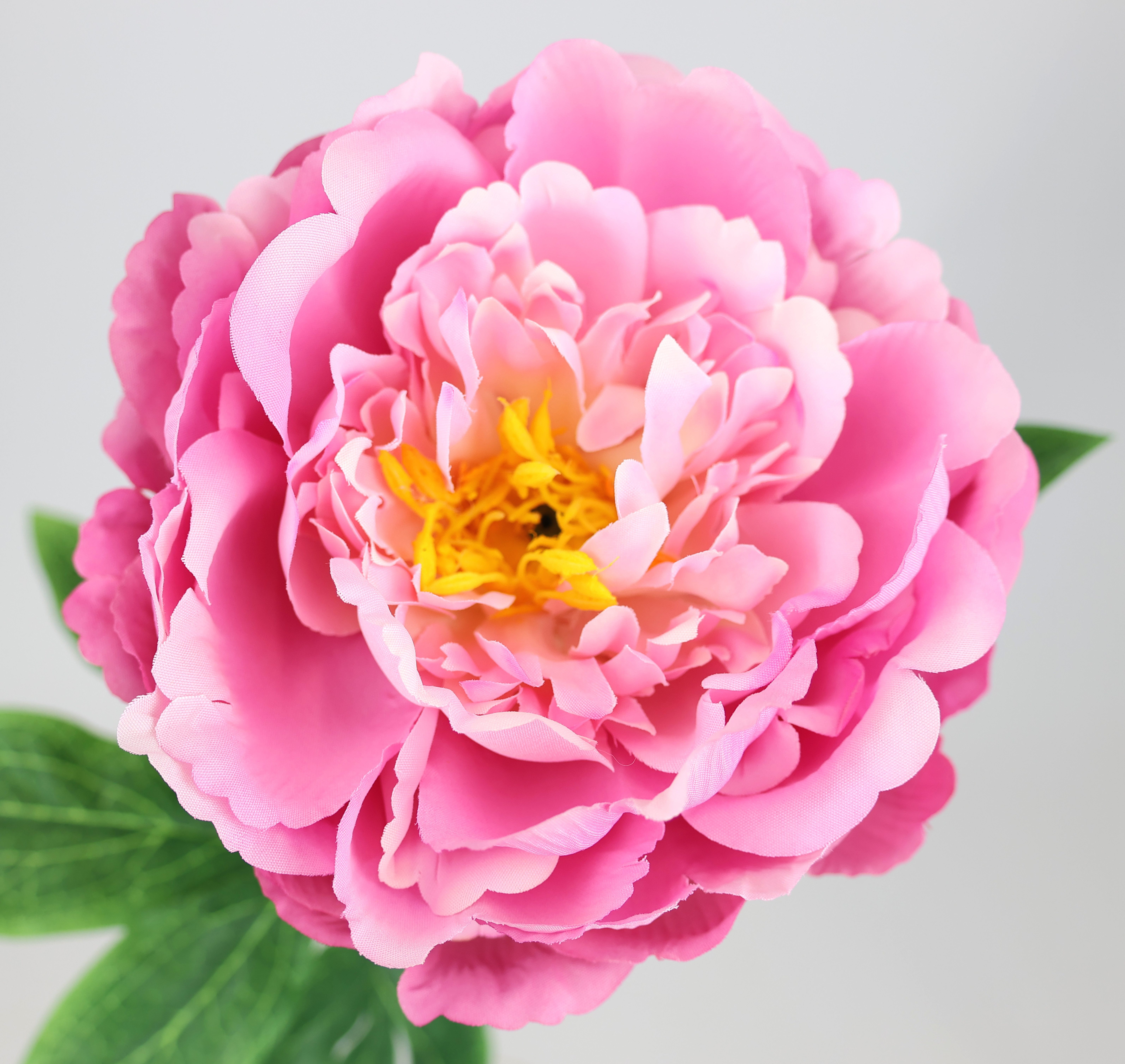 I.GE.A. Kunstbloem Pioenroos Pioenrozen enkele bloem, set van 3 (3 stuks)