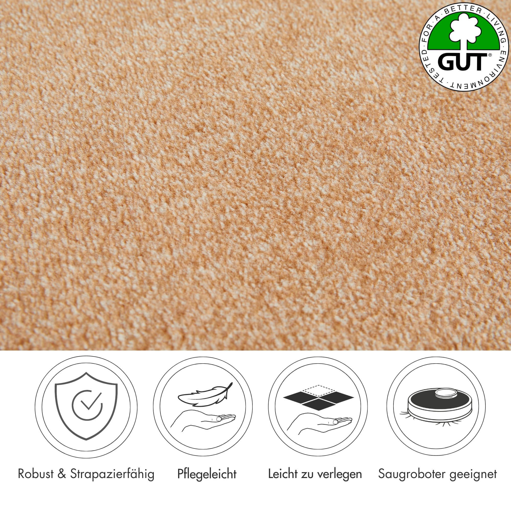 Andiamo Tapijt Catania, velours, Made in Belgium gemêleerd, breedte 400 cm of 500 cm, slijtvast & onderhoudsvriendelijk (1 stuk)