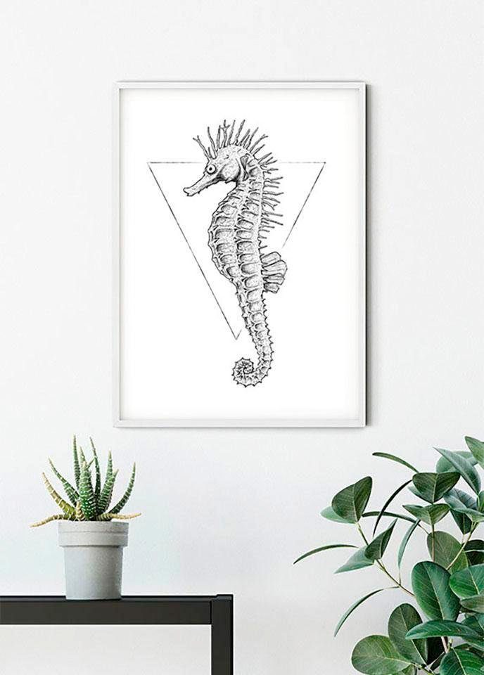 Komar Wanddecoratie Sea Horse white Wanddecoratie - zonder lijst (1 stuk)
