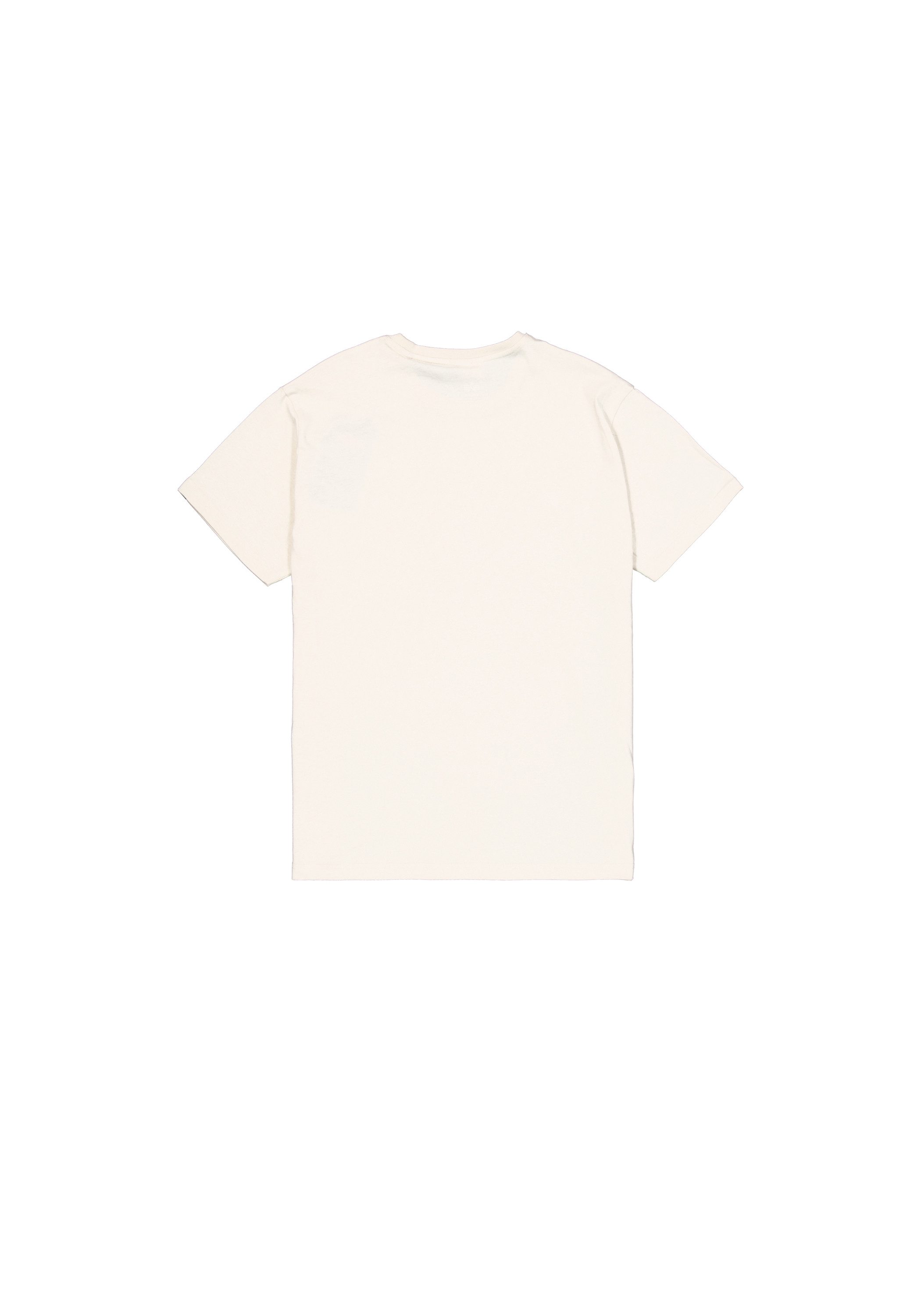 Alpha Industries T-shirt Alpha Industries Men - T-Shirts Alpha Label T Puff Print