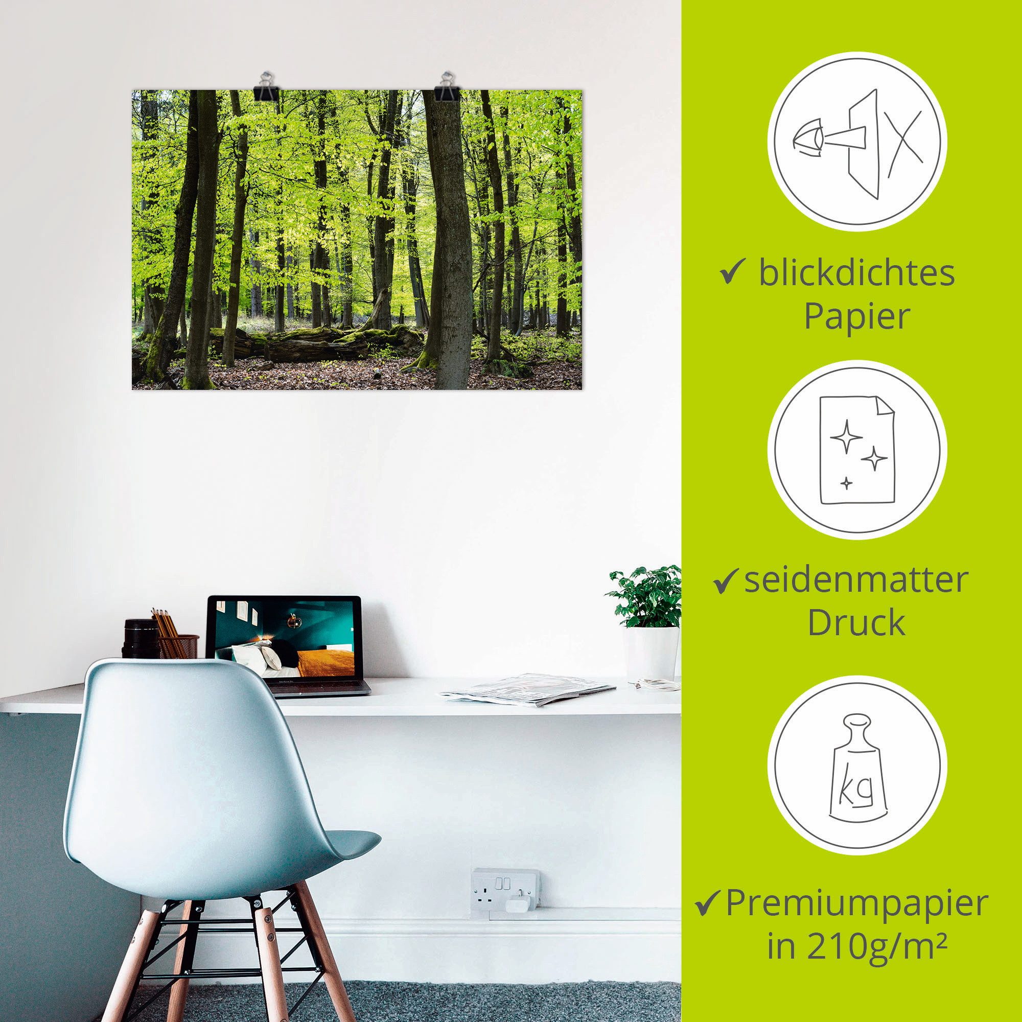 Artland Poster Loofbos in het voorjaar als artprint van aluminium, artprint op linnen, muursticker of poster in verschillende maten