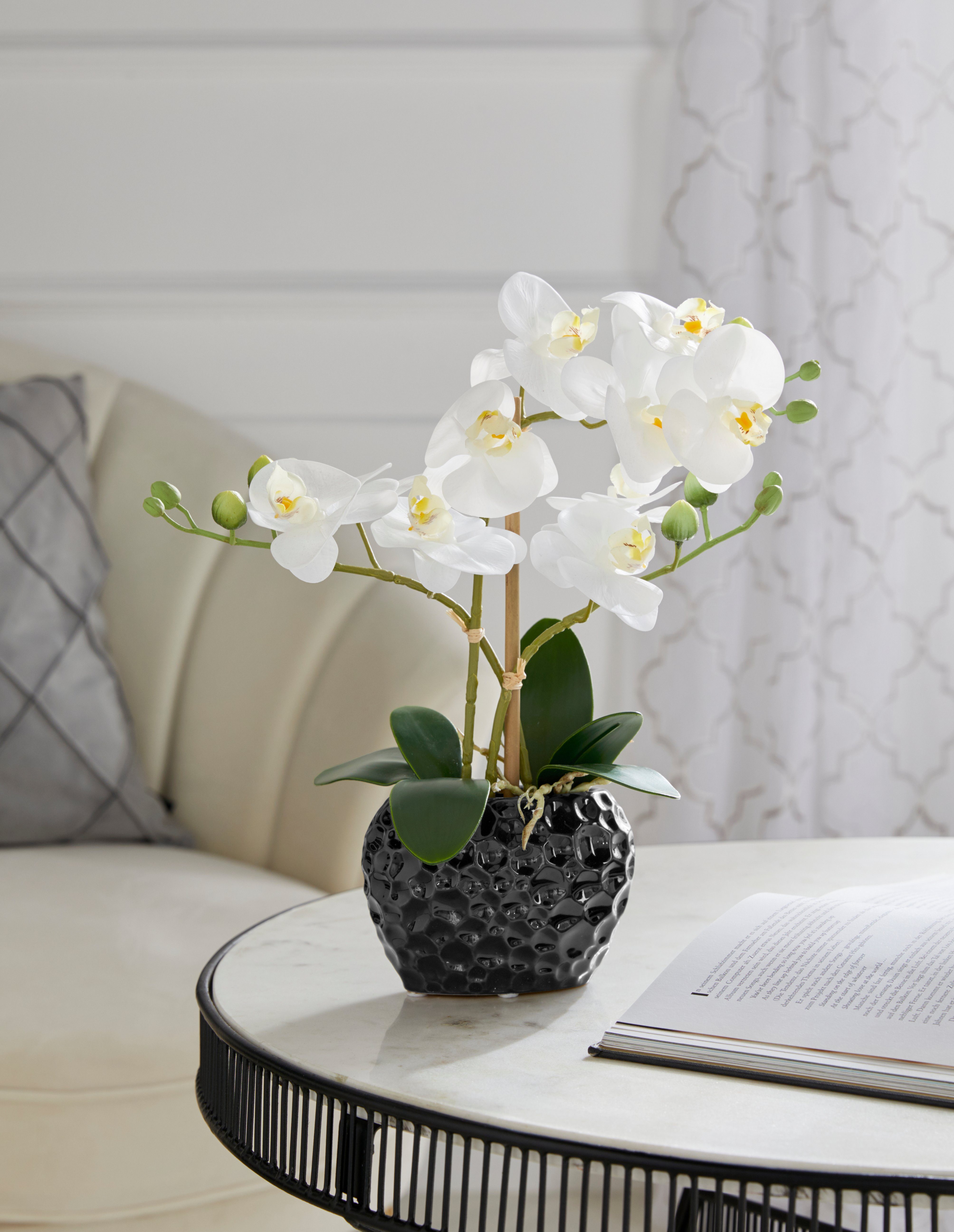 Leonique Kunstplant Orchidee Kunstorchidee, in pot, bestseller, meer dan 2500 4,5-sterren beoordelingen (1 stuk)