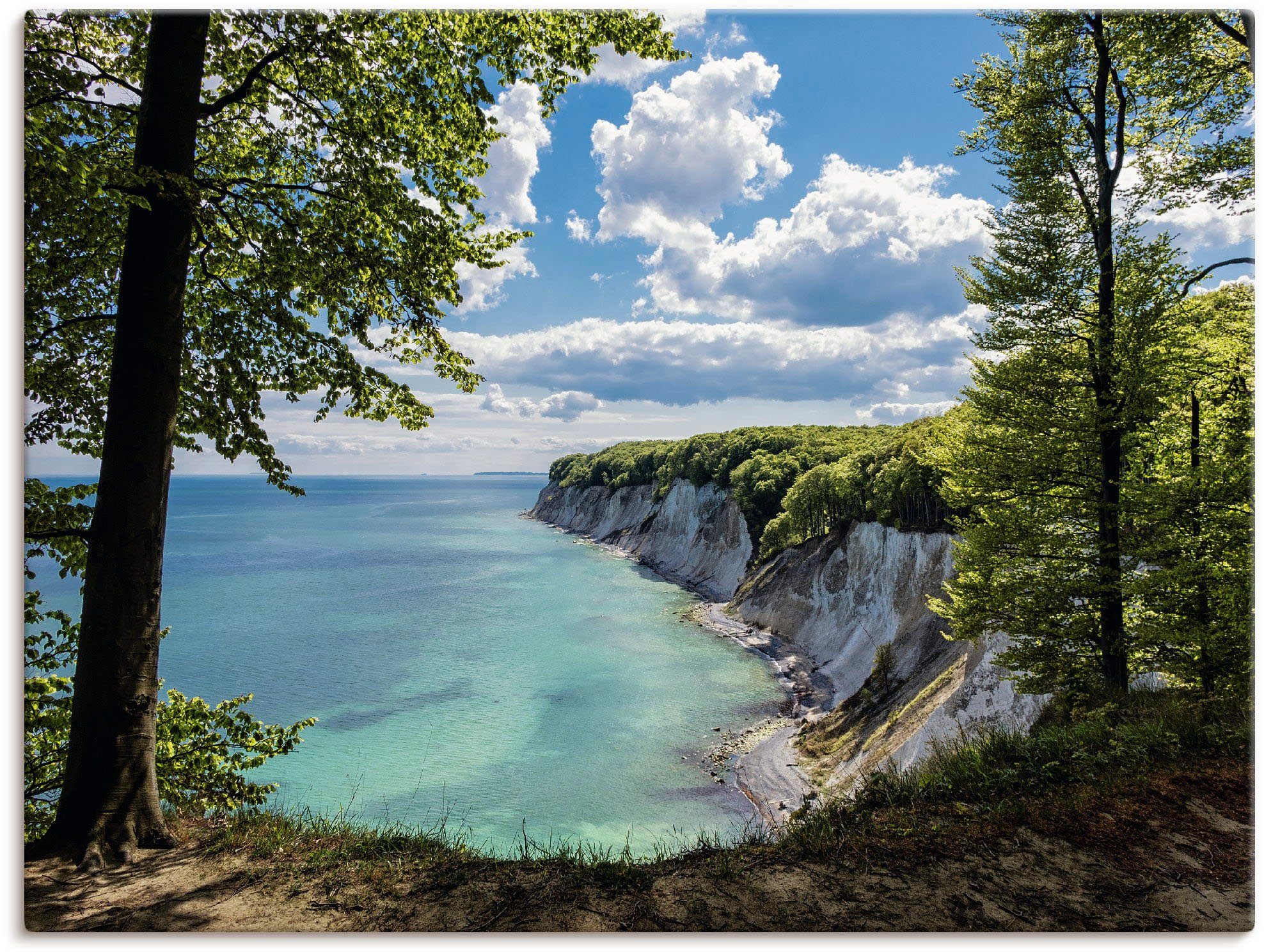 Artland artprint Ostseeküste auf der Insel Rügen.