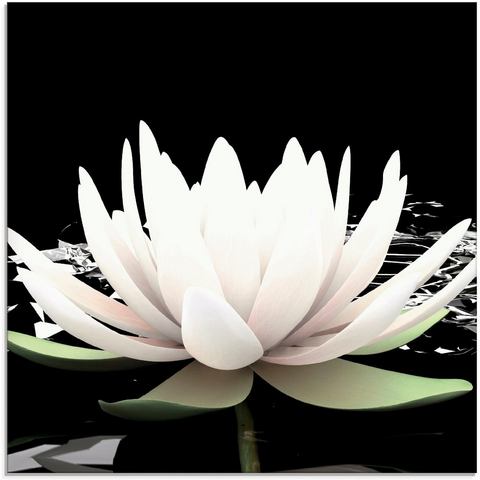 Artland print op glas Zwei Lotusblumen auf dem Wasser
