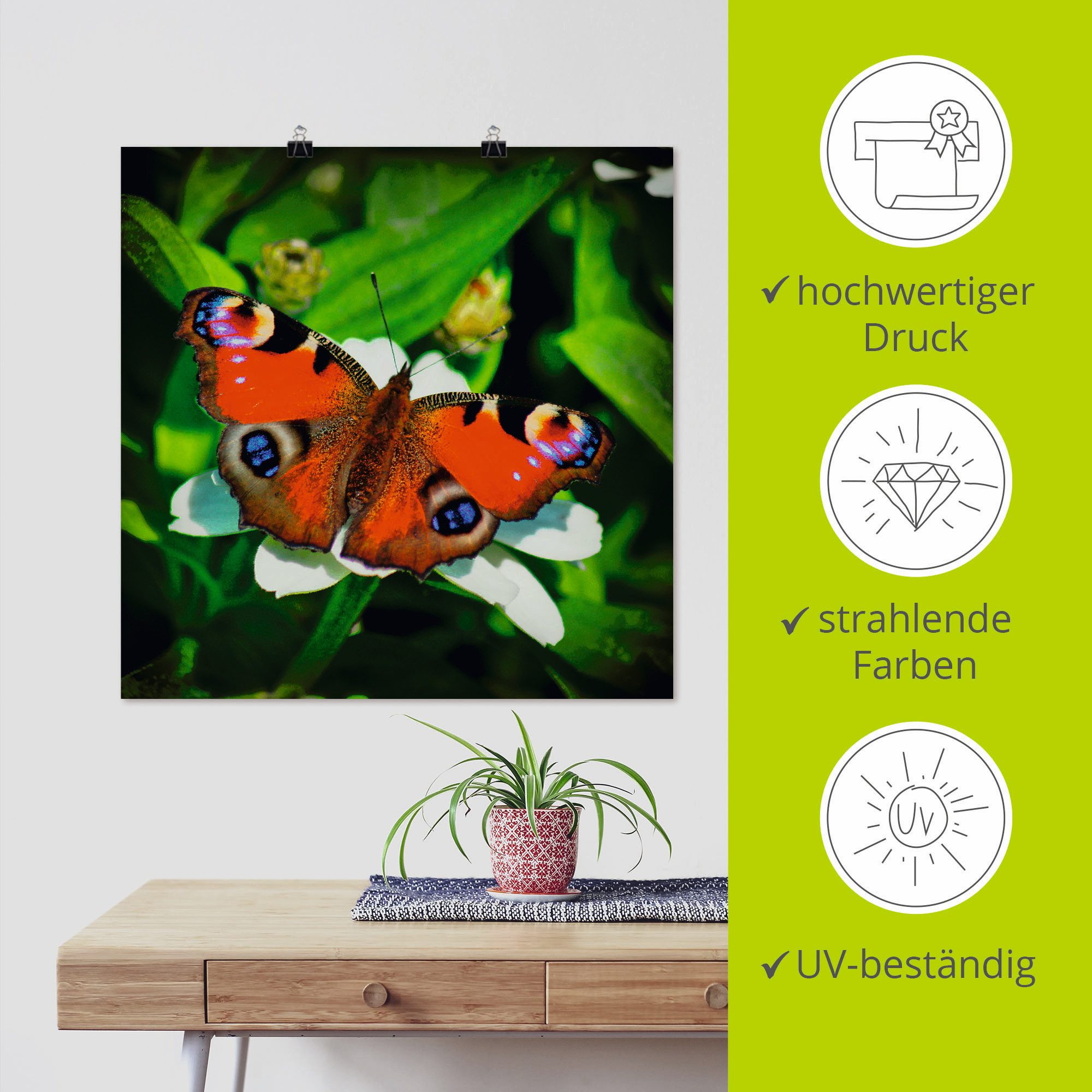 Artland Artprint Dagpauwoog als artprint op linnen, poster in verschillende formaten maten