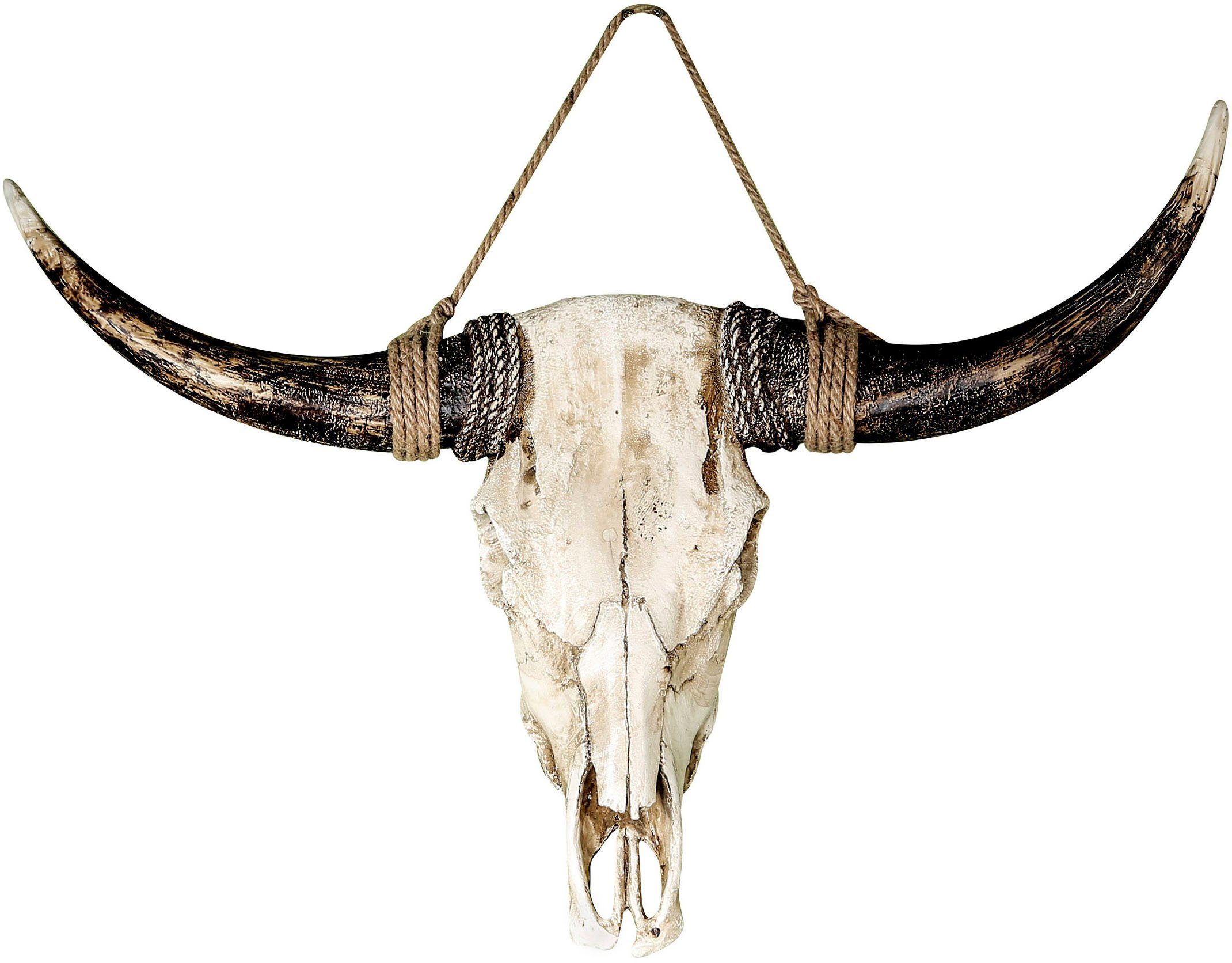 Skull Buffel Schedel - Skull - Wanddecoratie - Muurdecoratie - 80 cm breed