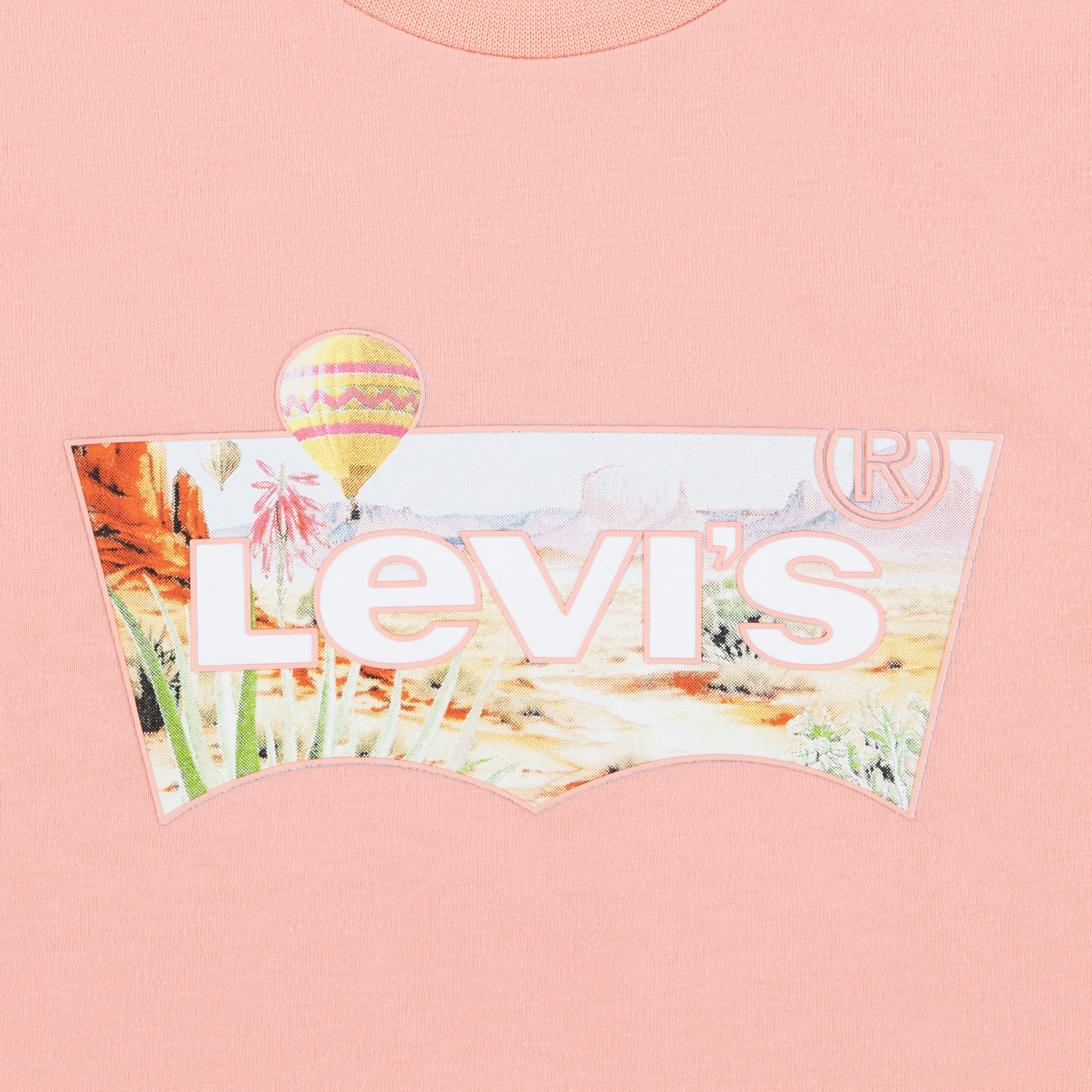 Levi's Kidswear T-shirt LVG HOT AIR BALLOON BATWING TE