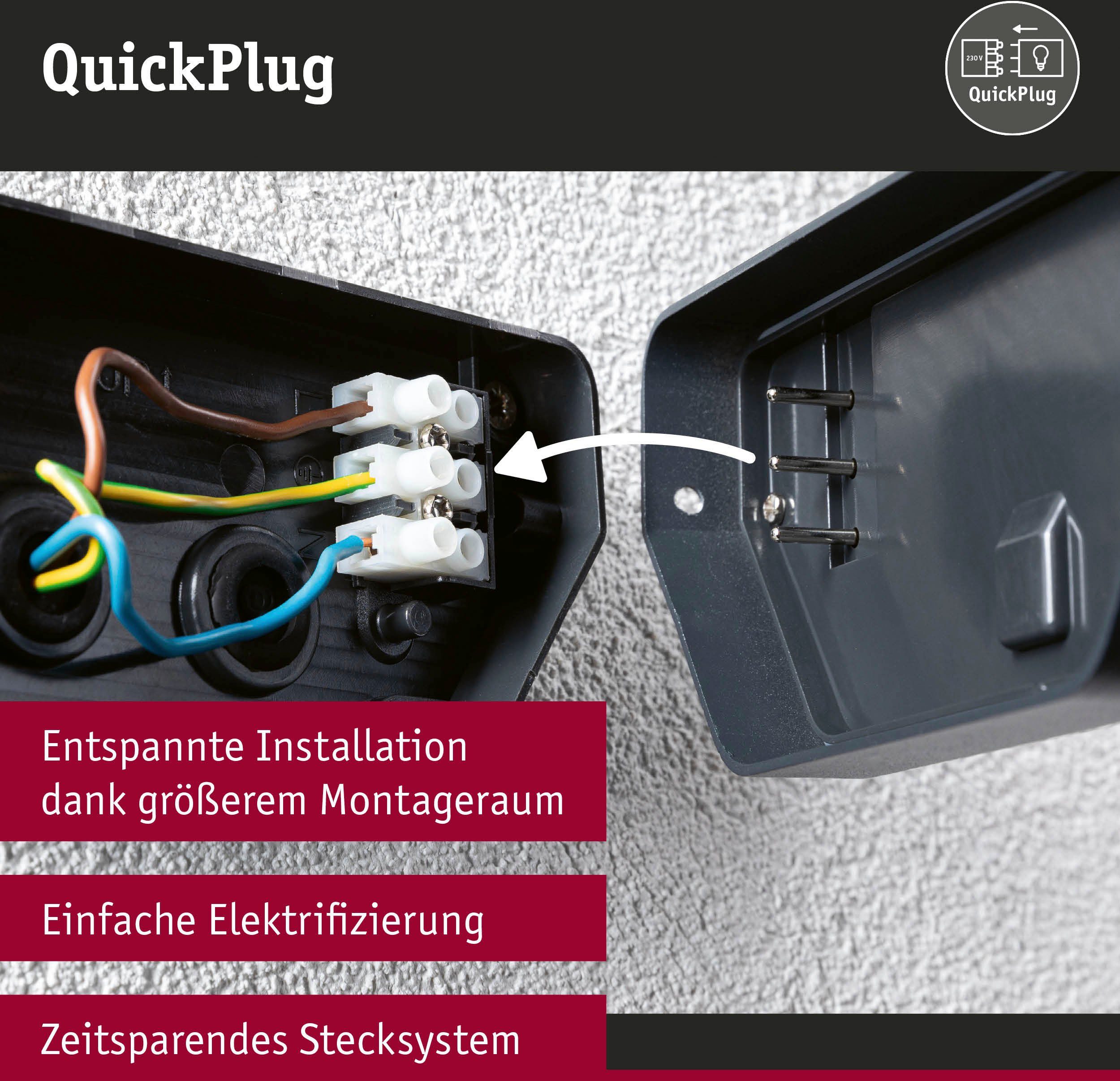 Paulmann Led-wandlamp voor buiten Anela 230V insectvriendelijk