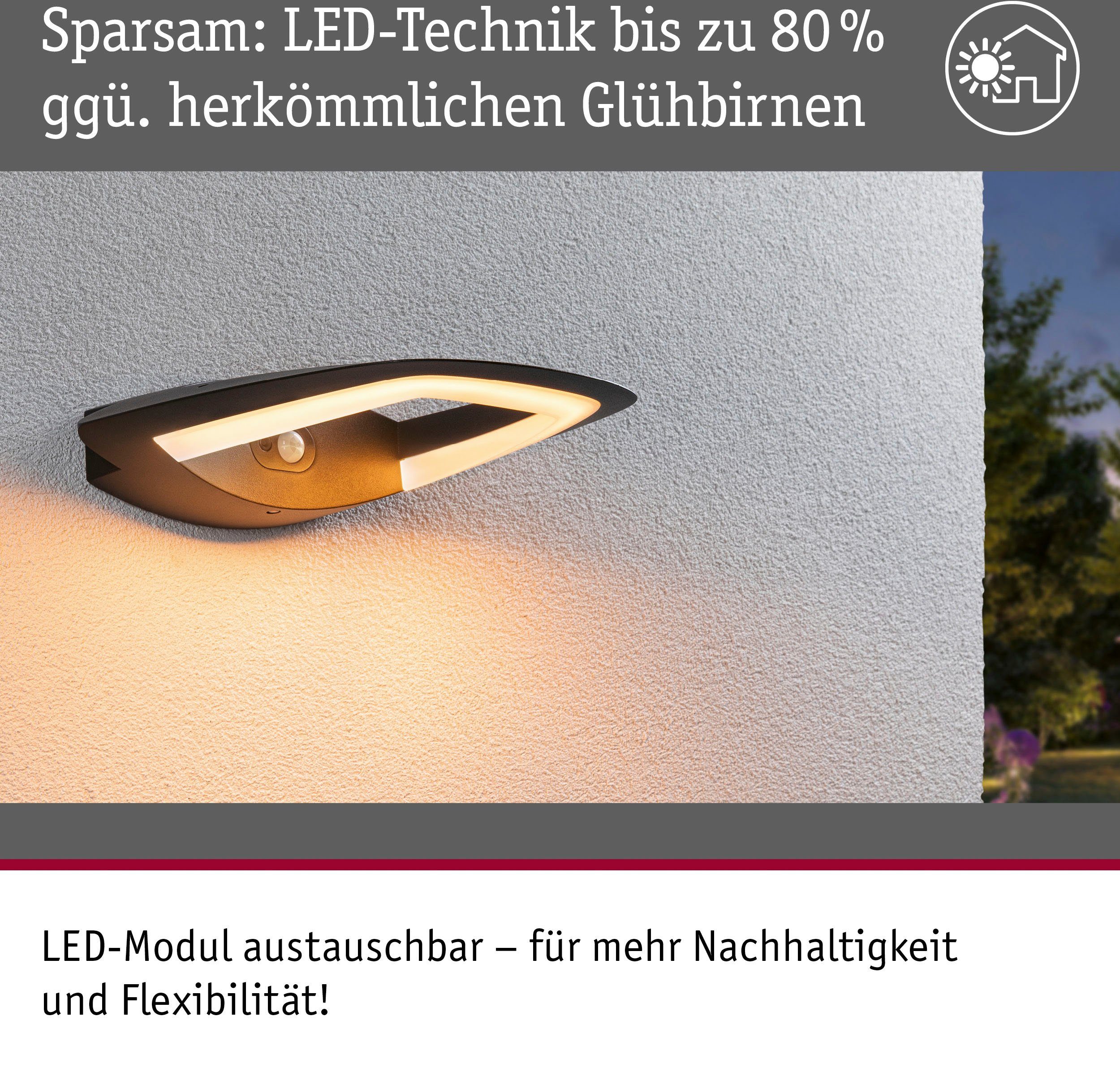 Paulmann Led-wandlamp voor buiten Buiten 230V Akena PIR Insect friendly Antraciet
