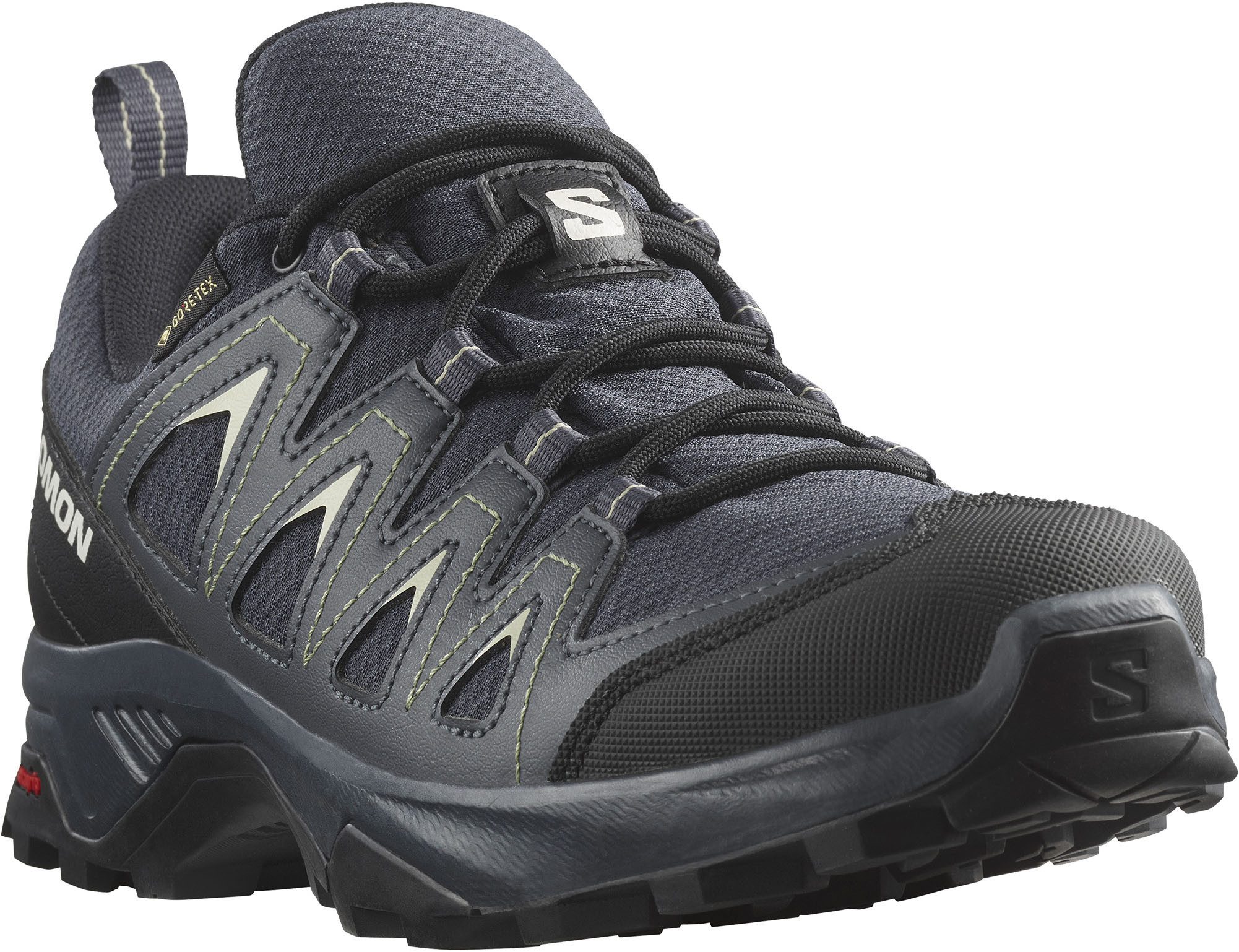 Salomon Wandelschoenen X BRAZE GORE-TEX®