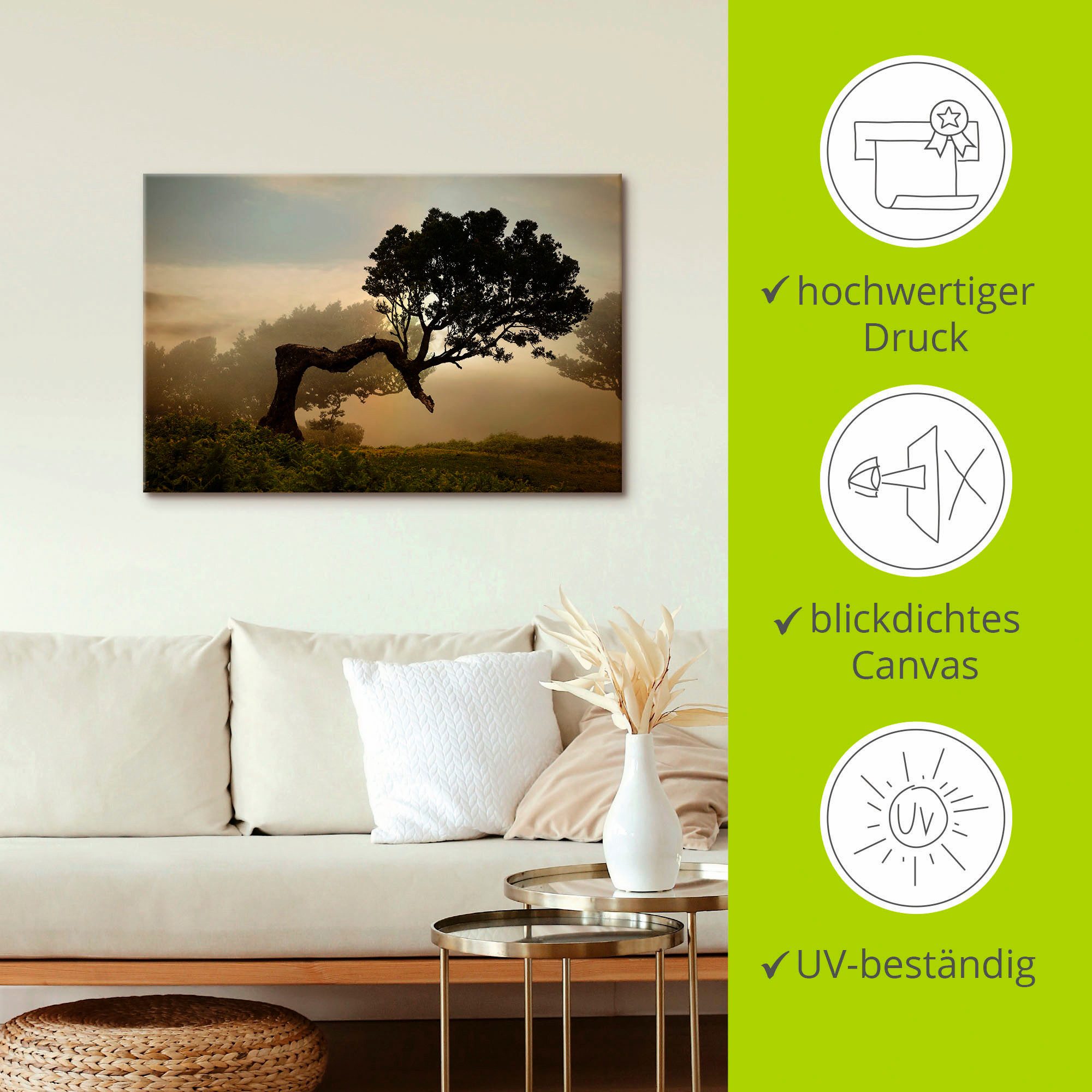 Artland Artprint Laurierboom als artprint van aluminium, artprint voor buiten, artprint op linnen, poster, muursticker