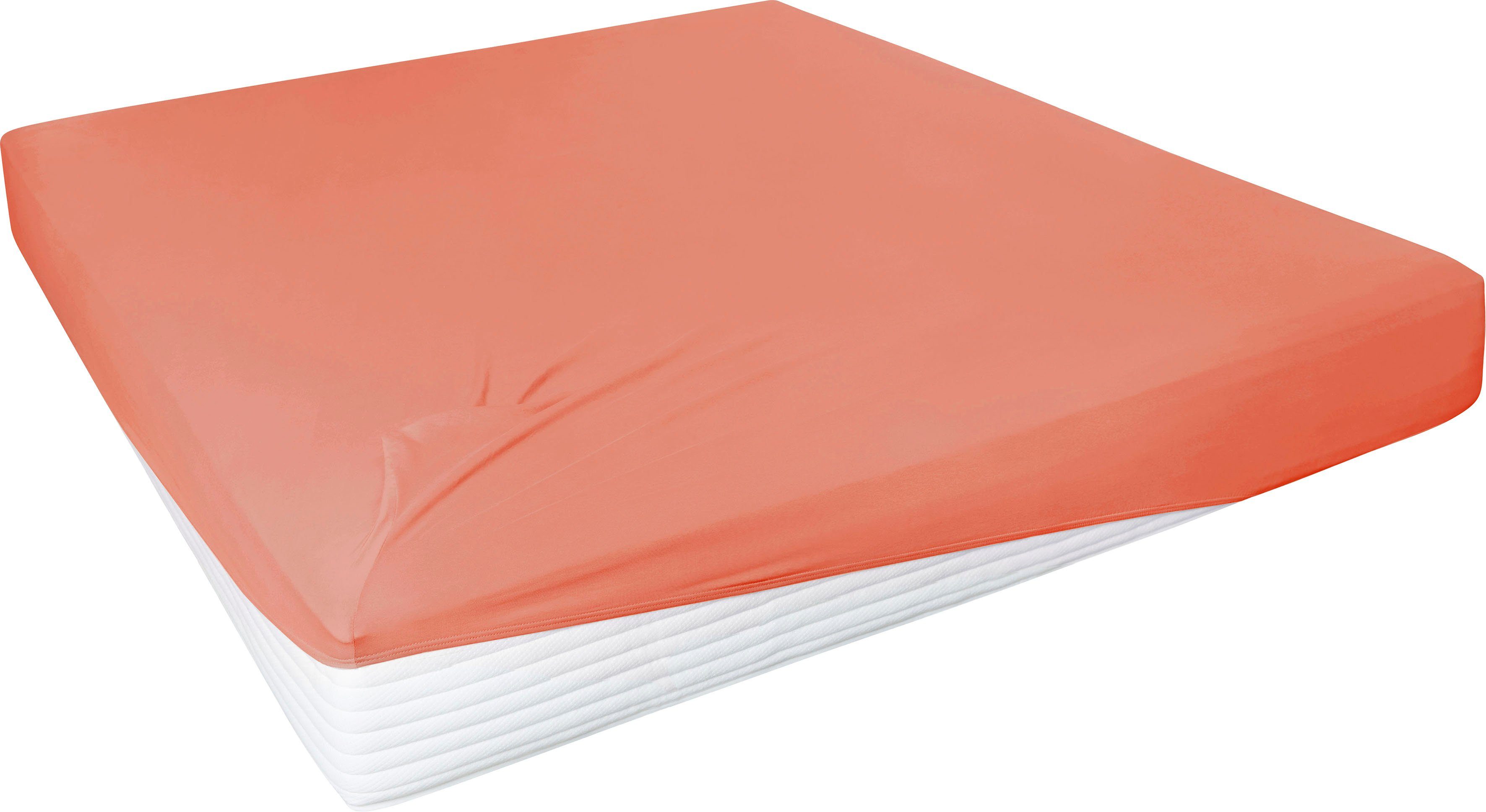 Primera Hoeslaken Elastaan-fijnjersey PREMIUM, van 95% gekamd katoen en 5% elastaan, tot 28 cm hoogte (1 stuk) hoeslakens maat 180-200 cm x 200-220