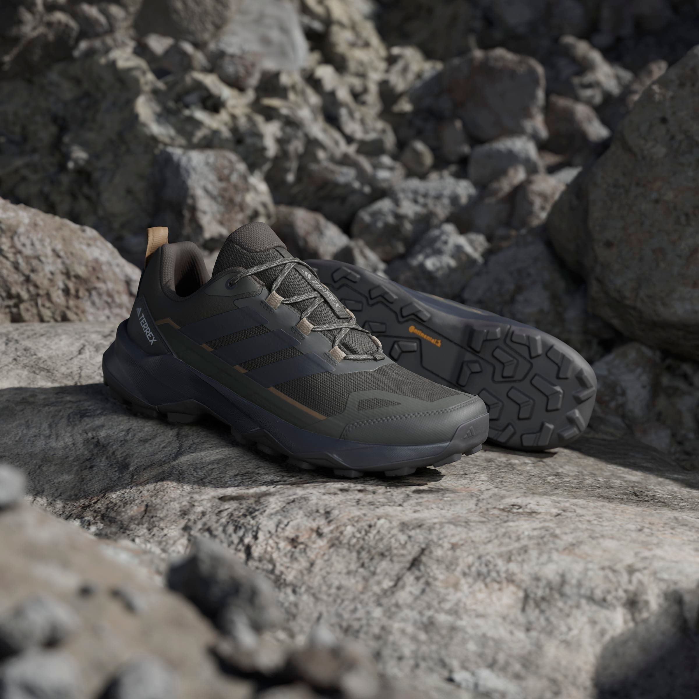 adidas TERREX Wandelschoenen TERREX SKYCHASER AX5 E