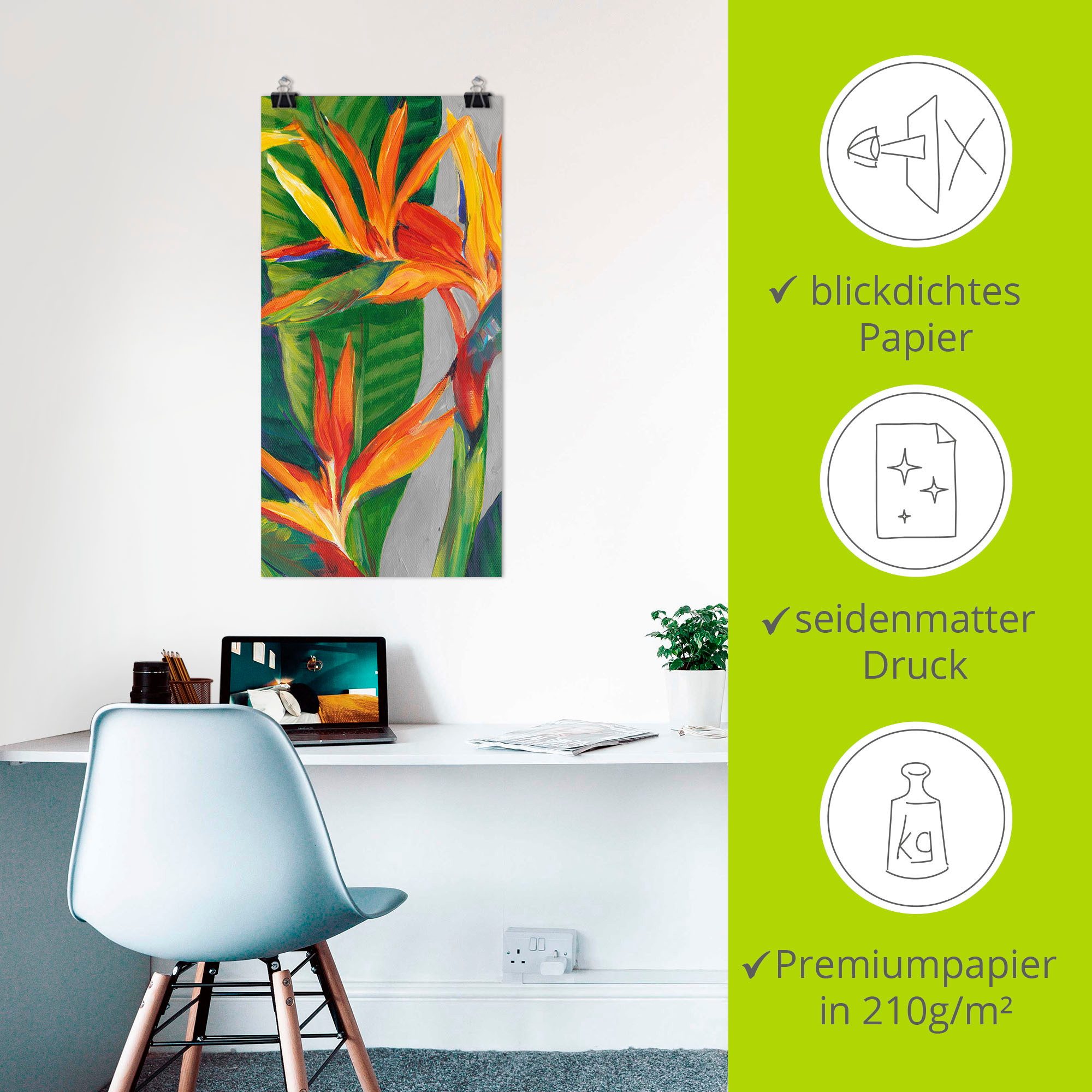 Artland Artprint Paradijsvogel II als artprint van aluminium, artprint voor buiten, artprint op linnen, poster in verschillende maten. maten