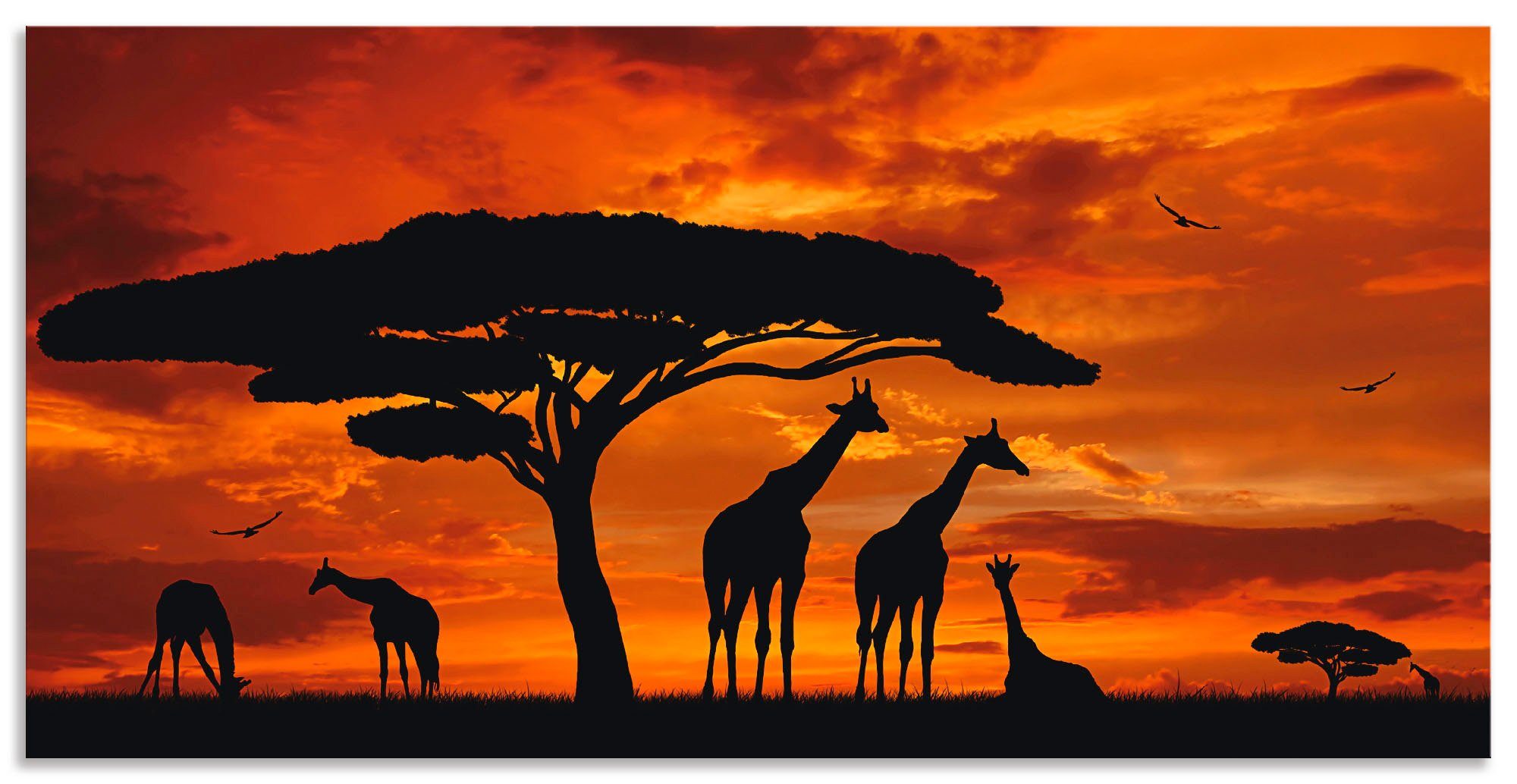 Artland Artprint Kudde giraffen bij zonsondergang in vele afmetingen & productsoorten - artprint van aluminium / artprint voor buiten, artprint op linnen, poster, muursticker / wan