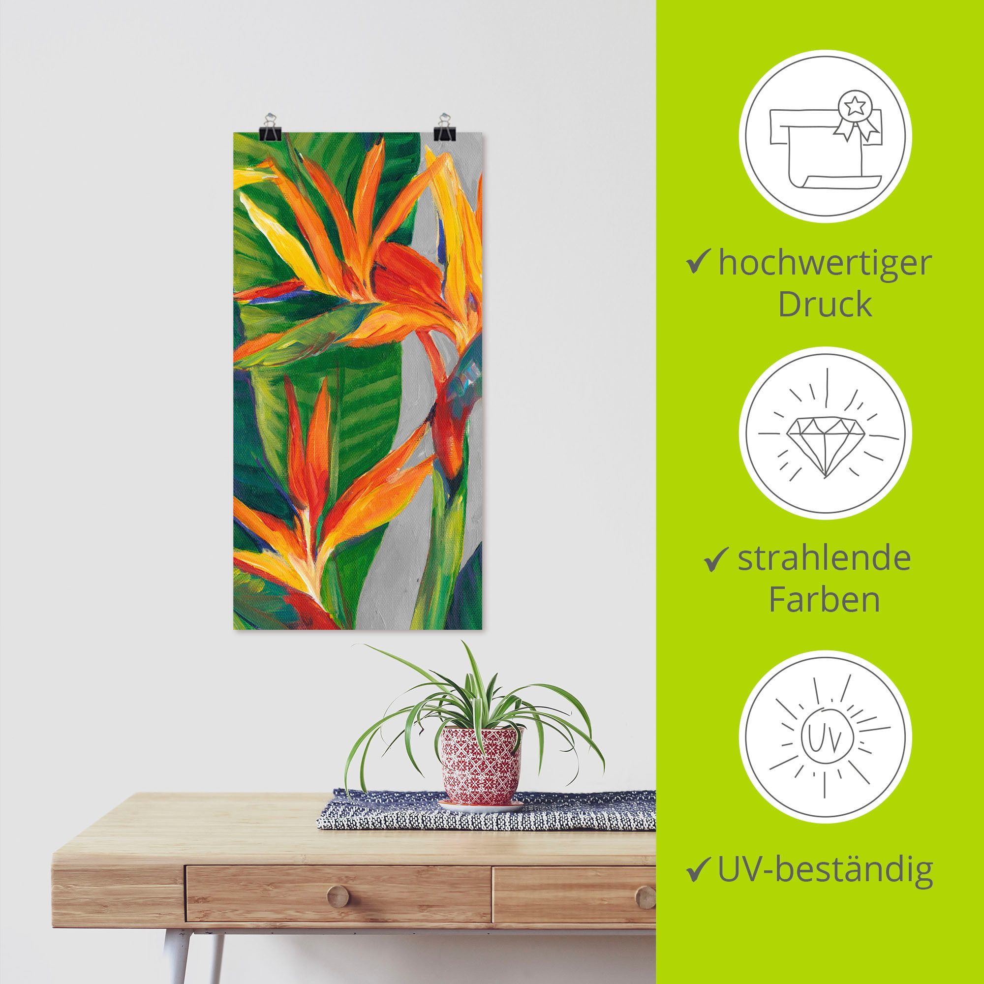 Artland Artprint Paradijsvogel II als artprint van aluminium, artprint voor buiten, artprint op linnen, poster in verschillende maten. maten