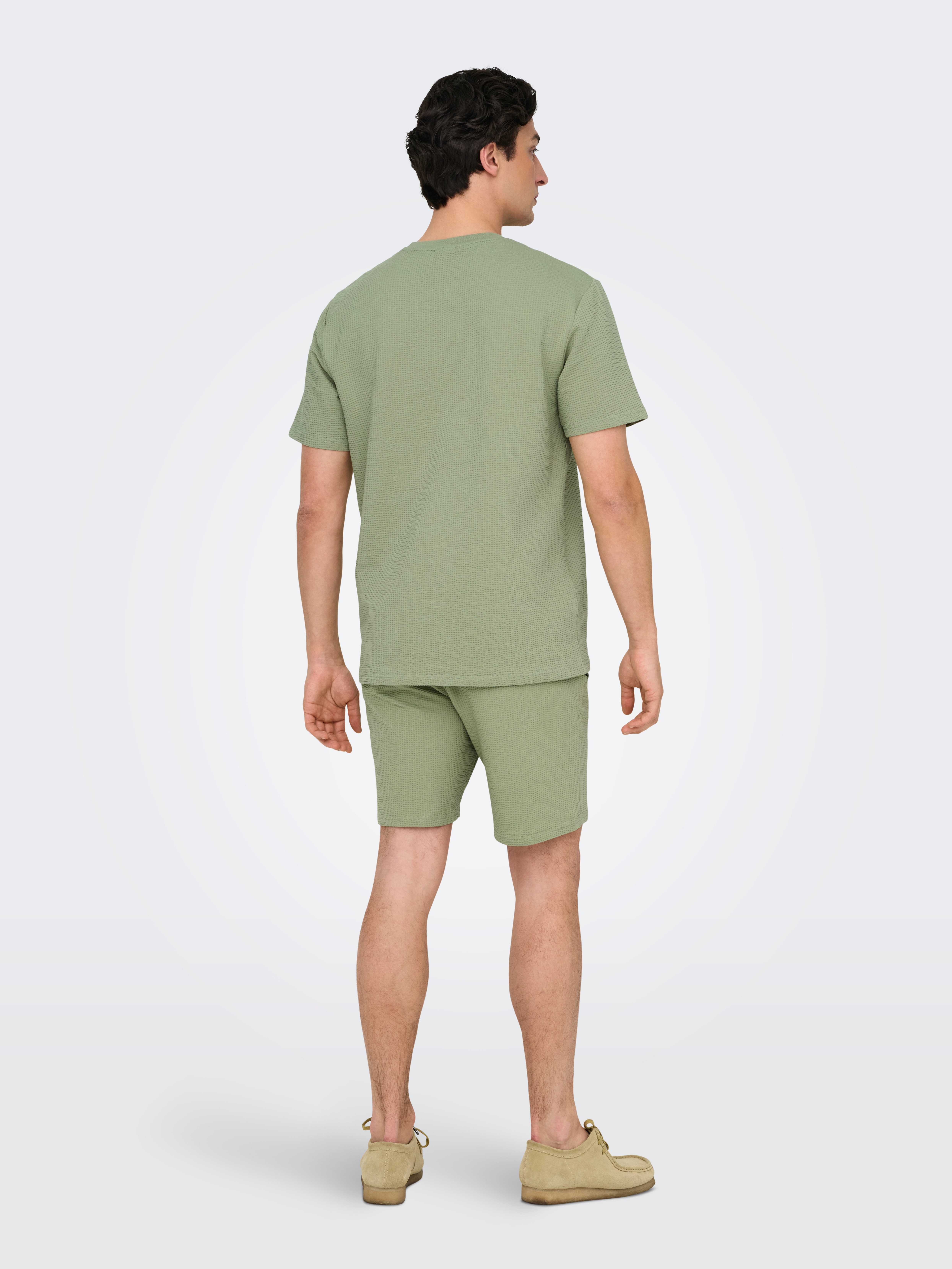 ONLY & SONS Shirt met ronde hals ONSKIAN LIFE REG SEERSUCKER SS TEE NOOS