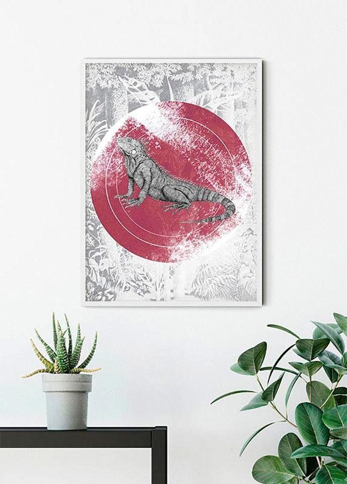 Komar Wanddecoratie Iguana Circle Wanddecoratie - zonder lijst (1 stuk)