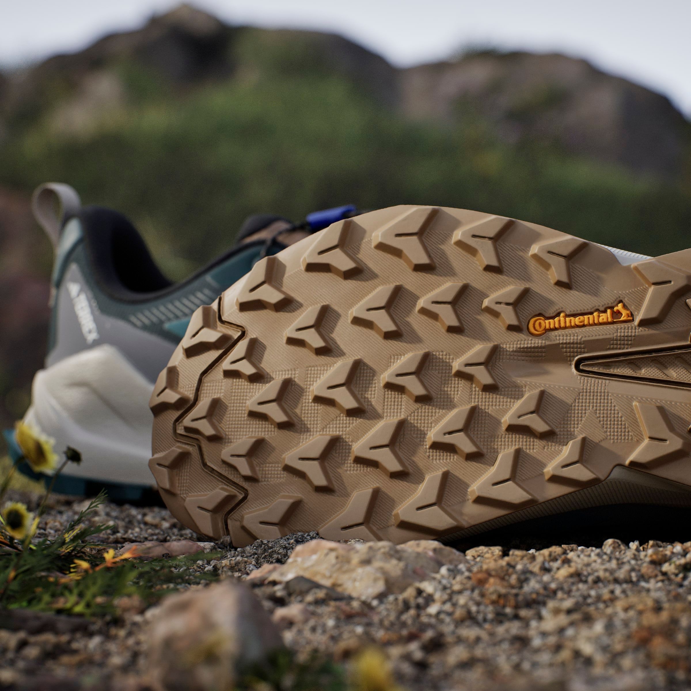 adidas TERREX Wandelschoenen TERREX TRAILMAKER 2 GORE-TEX SPEED LACE
