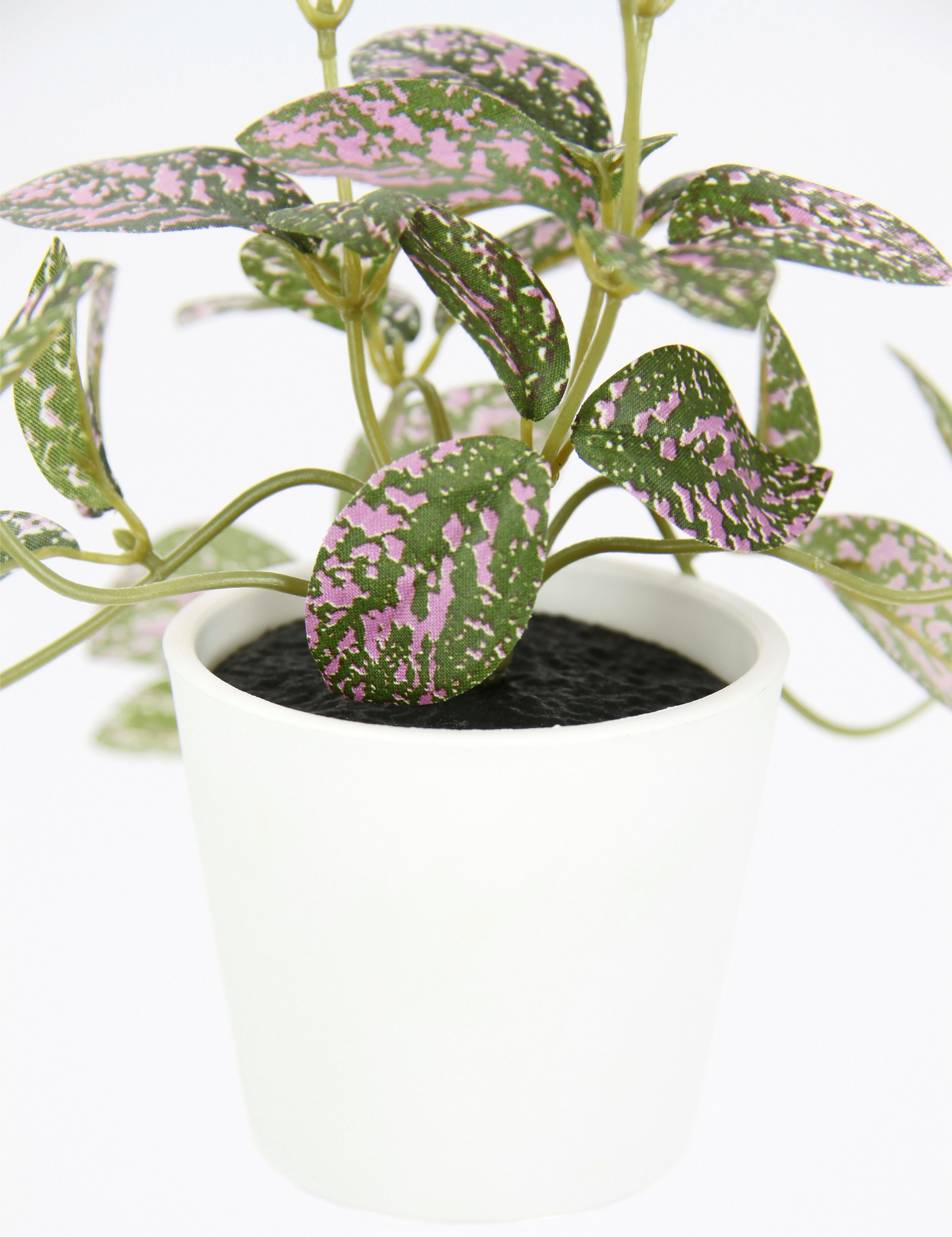 I.GE.A. Kunstplant Kunstmatige kamerplant mini aucuba in pot plant Zijdebloemen hangplanten klimmende bladplant hangende groenplanten (2 stuks)