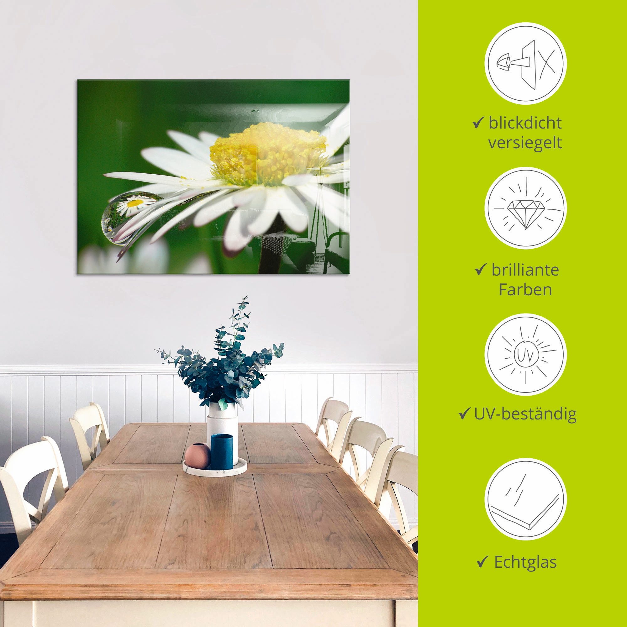 Artland Print op glas Madeliefje met waterdruppels