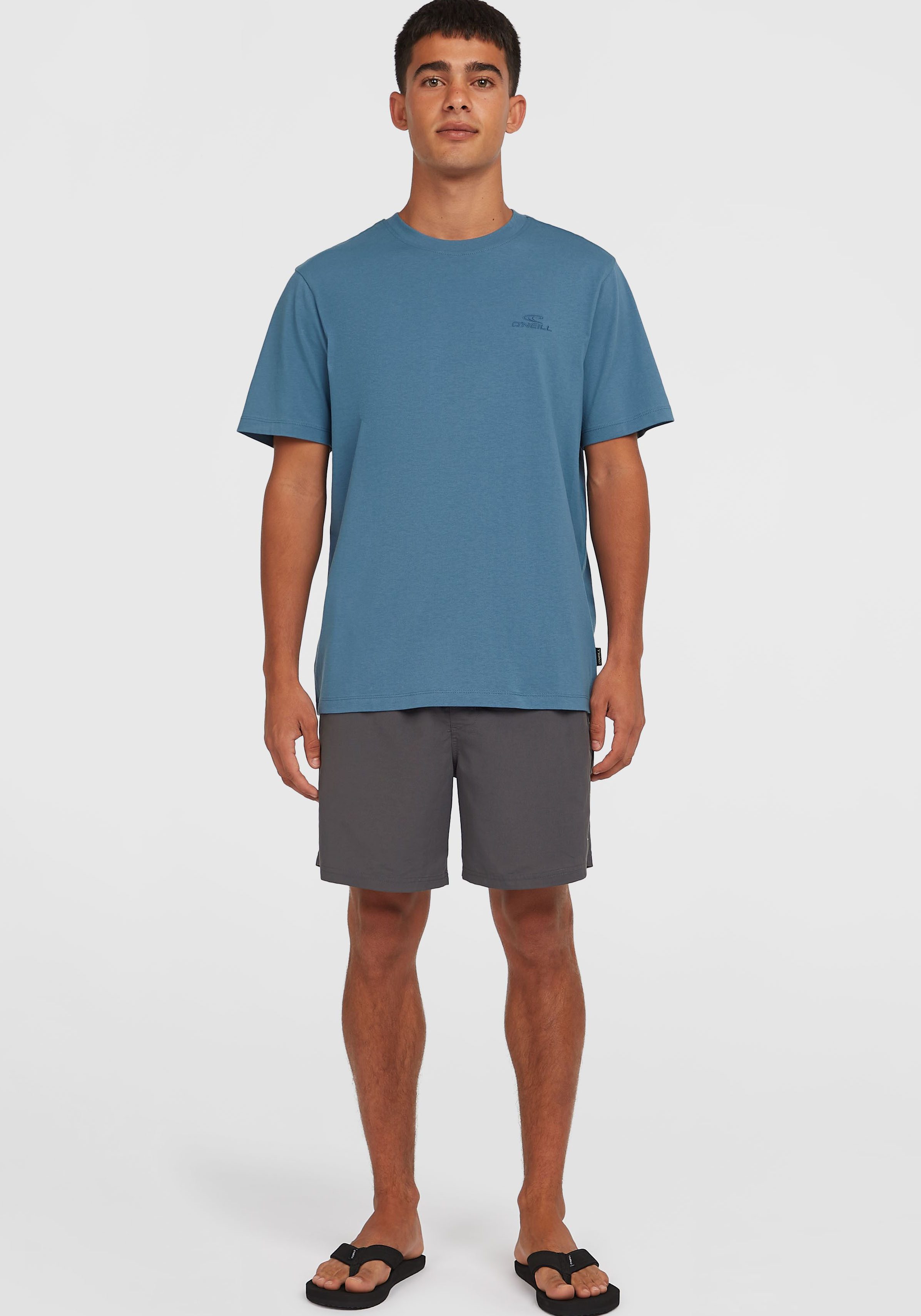O'Neill T-shirt Small Logo T-Shirt
