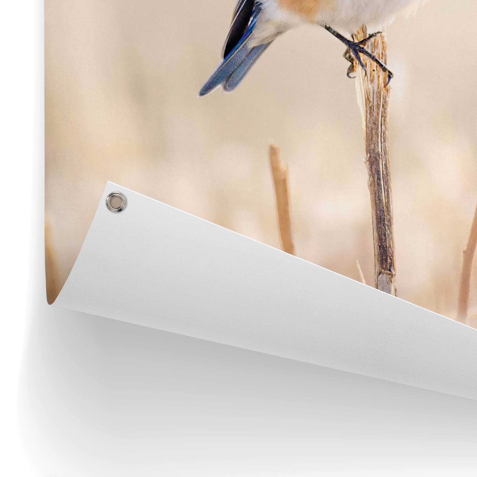 Reinders! Poster Blauwe vogel Outdoor voor tuin of balkon