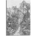 reinders! artprint palmen inscriptie regenwoud - varens - 19e eeuw - australi (1 stuk) zwart