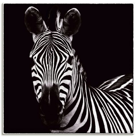 Artland artprint Zebra II