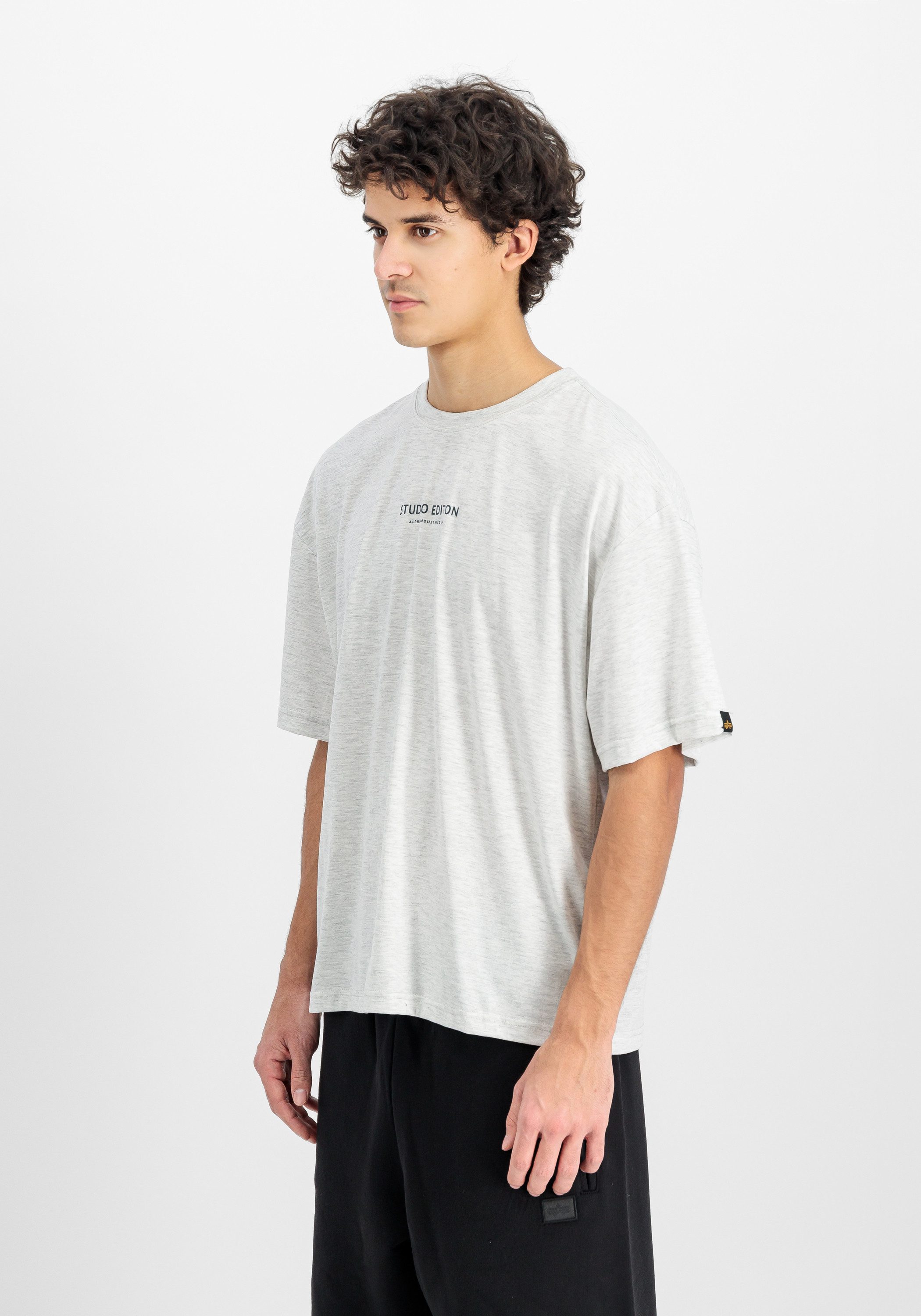 Alpha Industries T-shirt Studio Edition Backprint T-Shirt
