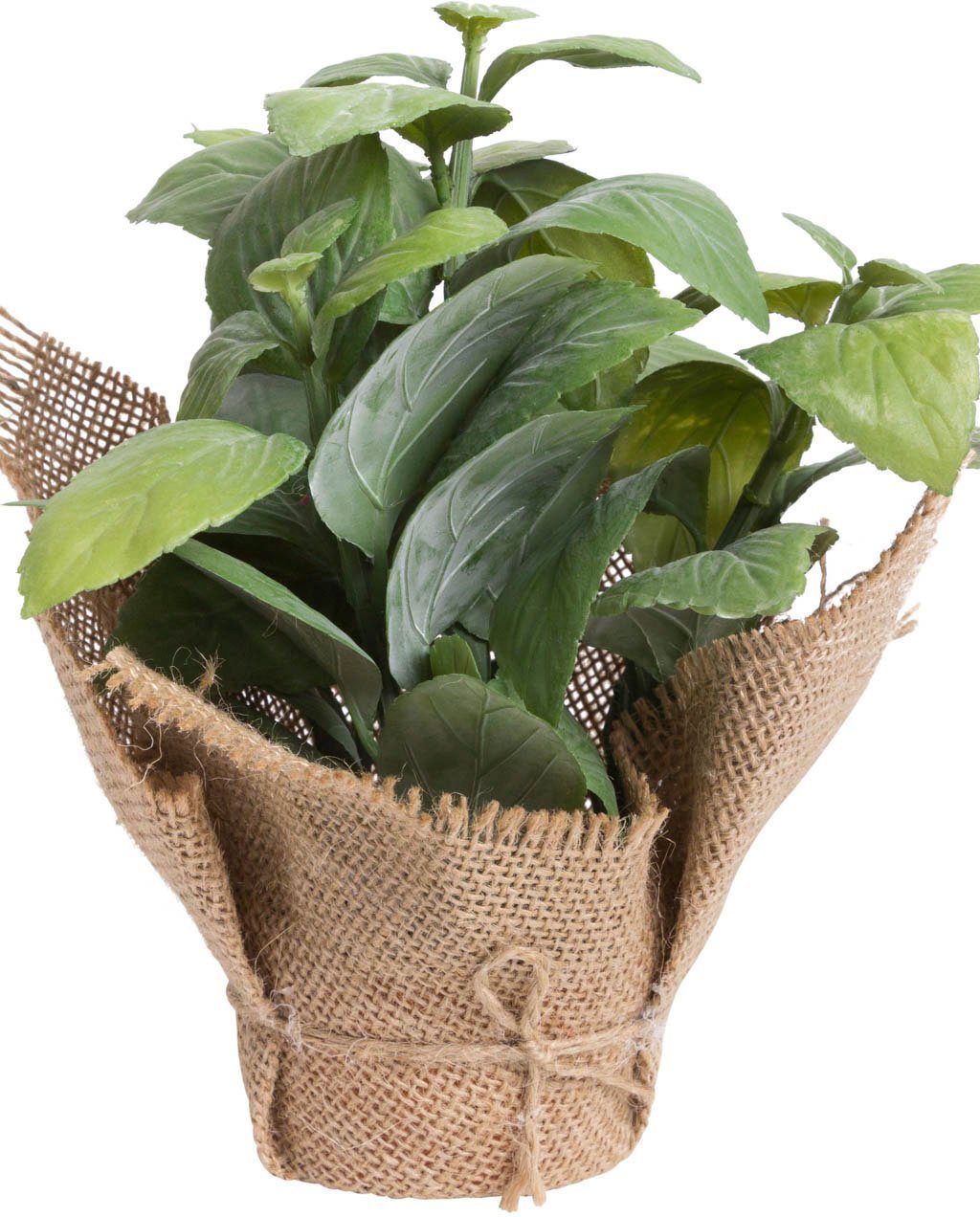 Botanic-Haus Kunst-potplanten Kruiden (set, 3 stuks)