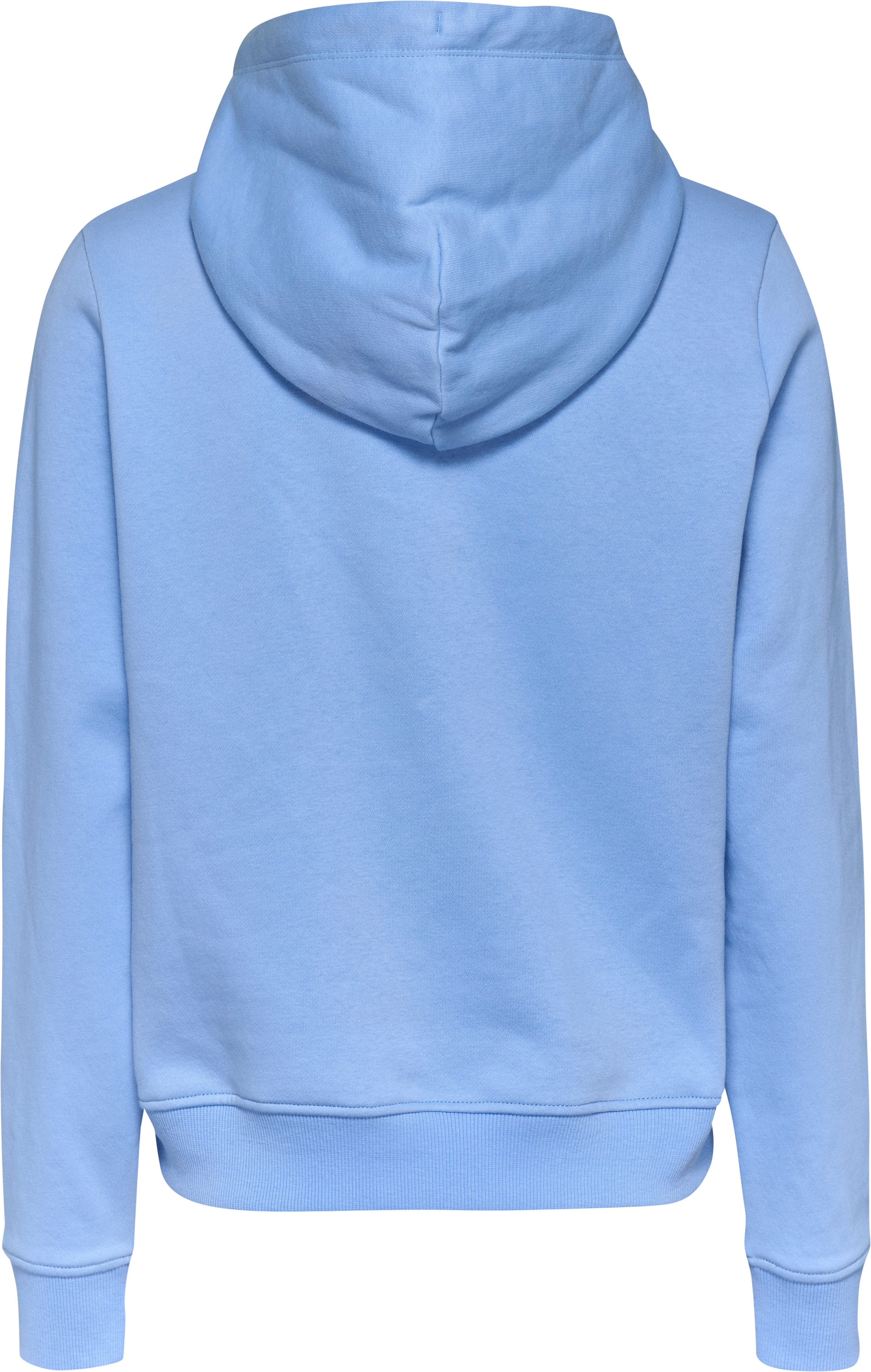TOMMY JEANS Hoodie TJW REG LINEAR HOODIE met een logo-opschrift