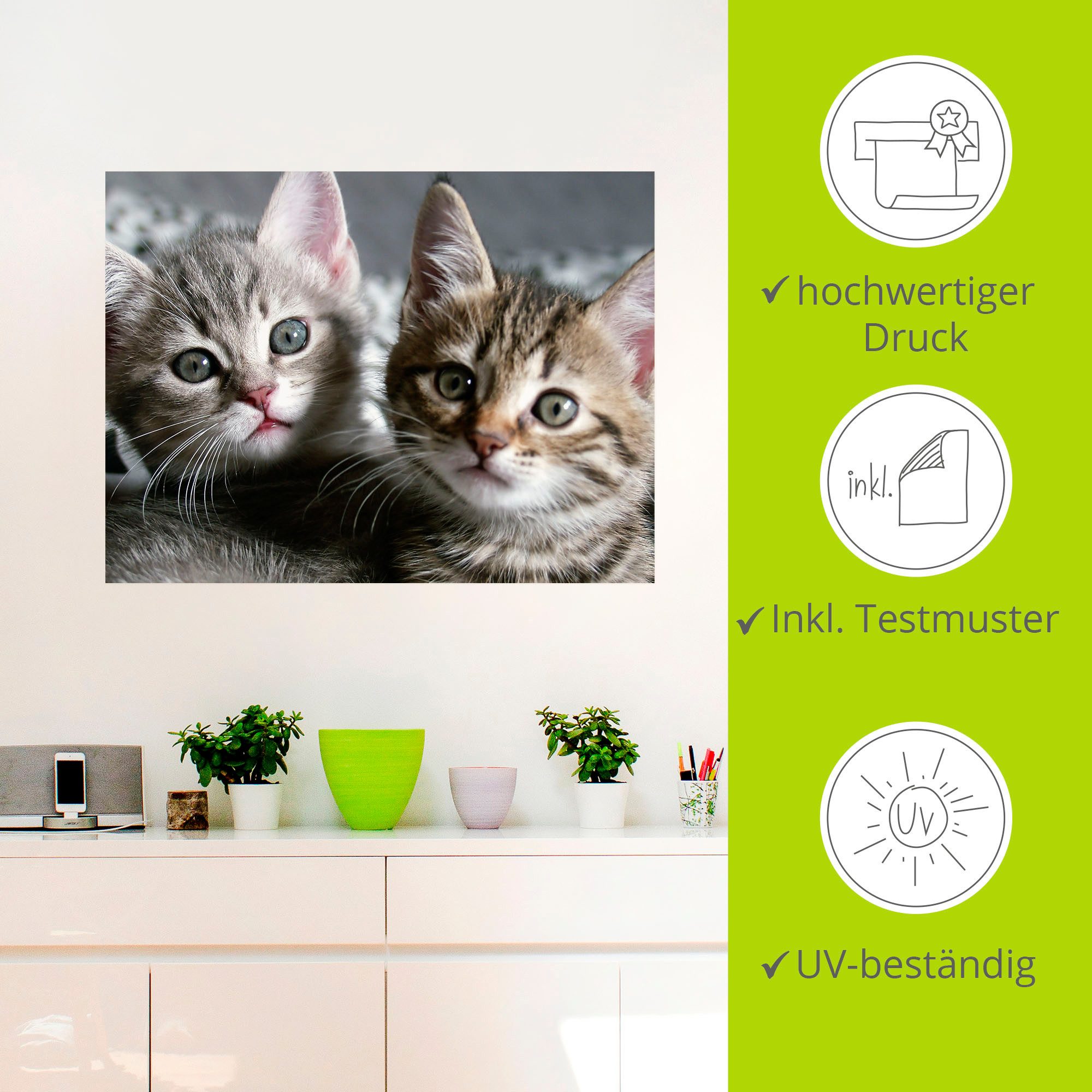 Artland Artprint Kat als artprint van aluminium, artprint voor buiten, artprint op linnen, poster, muursticker