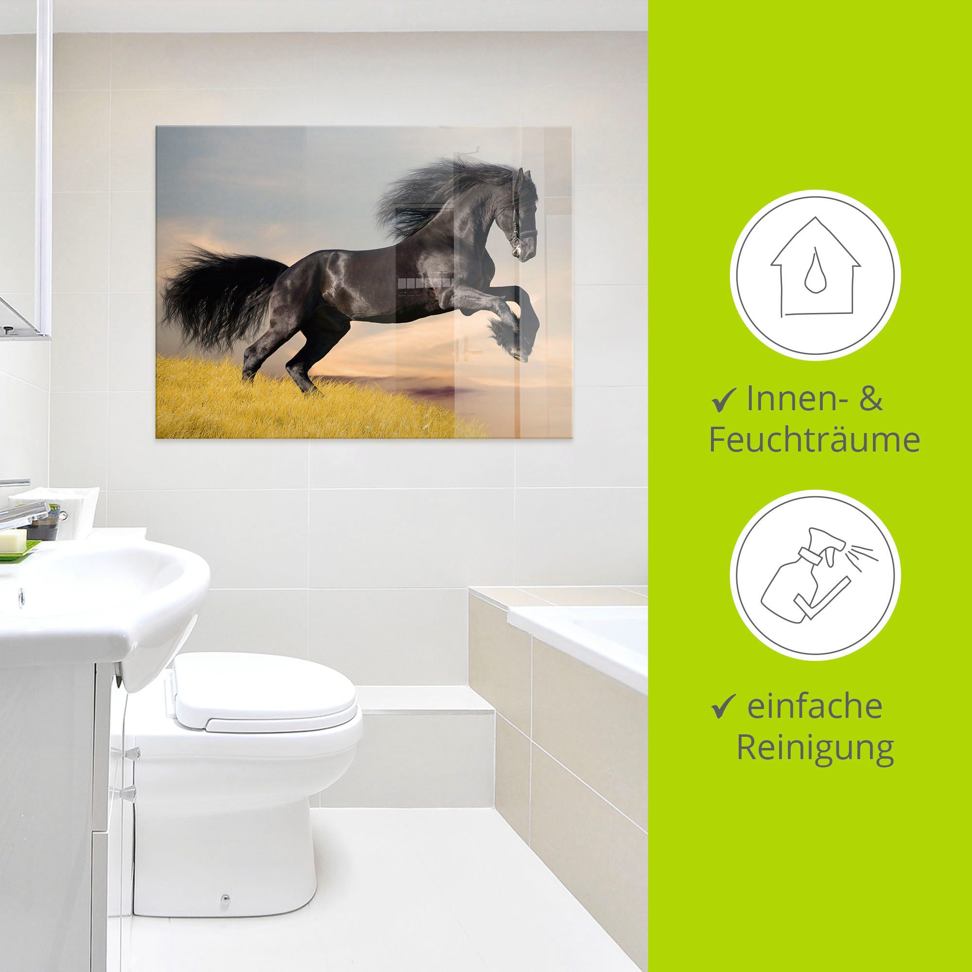 Artland Print op glas Friese hengstgalop in verschillende maten