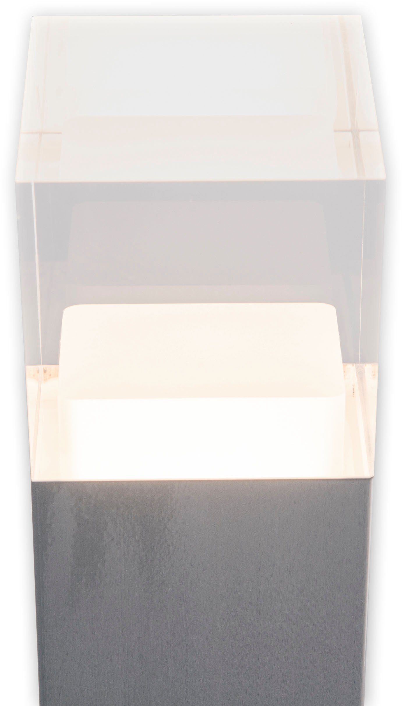 näve Staande ledlamp voor buiten Leah Roestvrij staal / kunststof in blank metaal/opaal incl. 15x led warmwit IP44 (1 stuk)