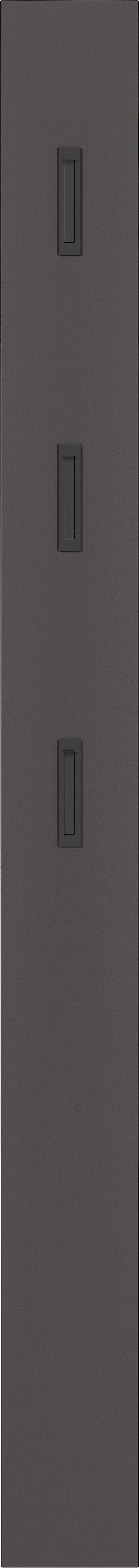 GERMANIA Halmeubelset GW-Ameca 2.0 Garderobe-set: multifunctionele kast en spiegel