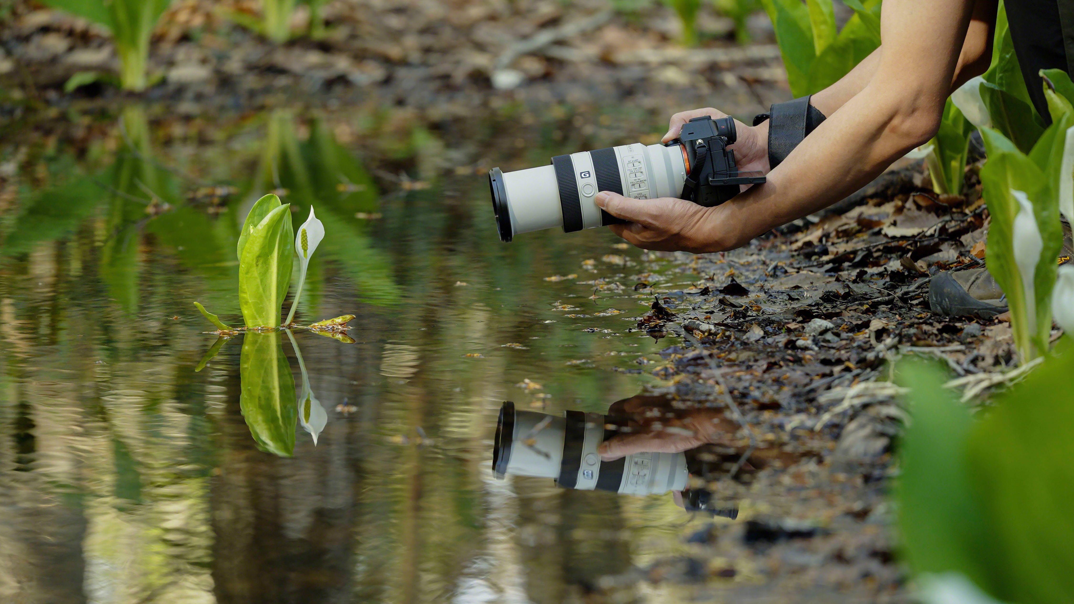 Sony Objectief FE 70–200 mm F4 Makro G OSS Ⅱ