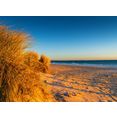 papermoon fotobehang dunes chelsea beach australia multicolor