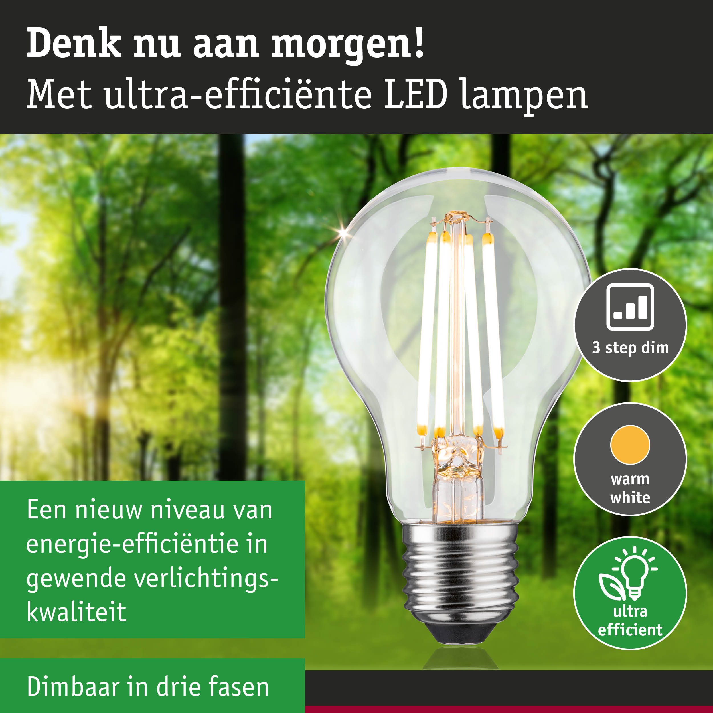 Paulmann Led-verlichting Eco-Line filament 230V LED-lamp E27 806lm 4,3W 3000K dimbaar helder